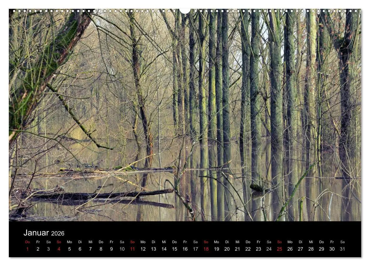 Bild: 9783457991916 | Urdenbach / Odebach (hochwertiger Premium Wandkalender 2026 DIN A2...