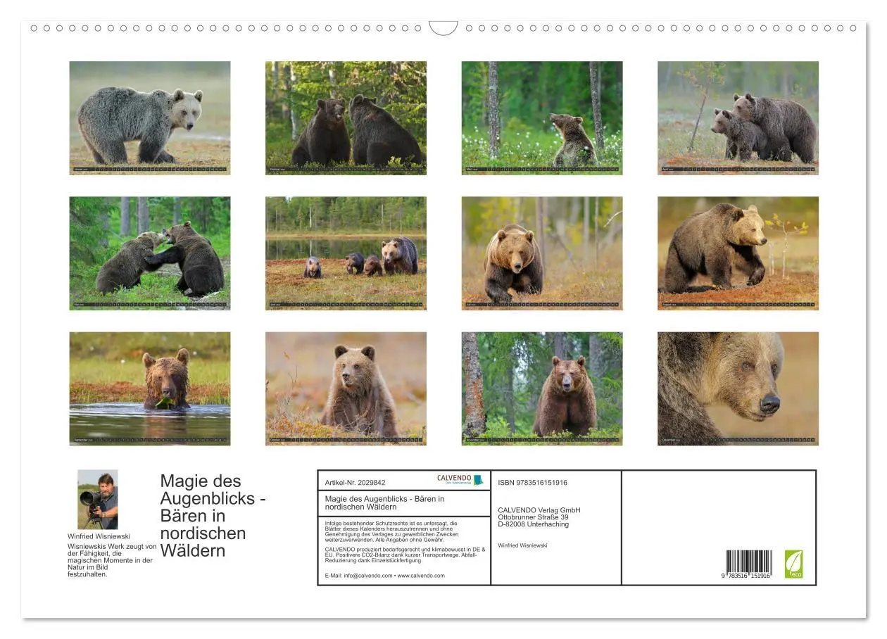 Bild: 9783516151916 | Magie des Augenblicks - Bären in nordischen Wäldern (Wandkalender...