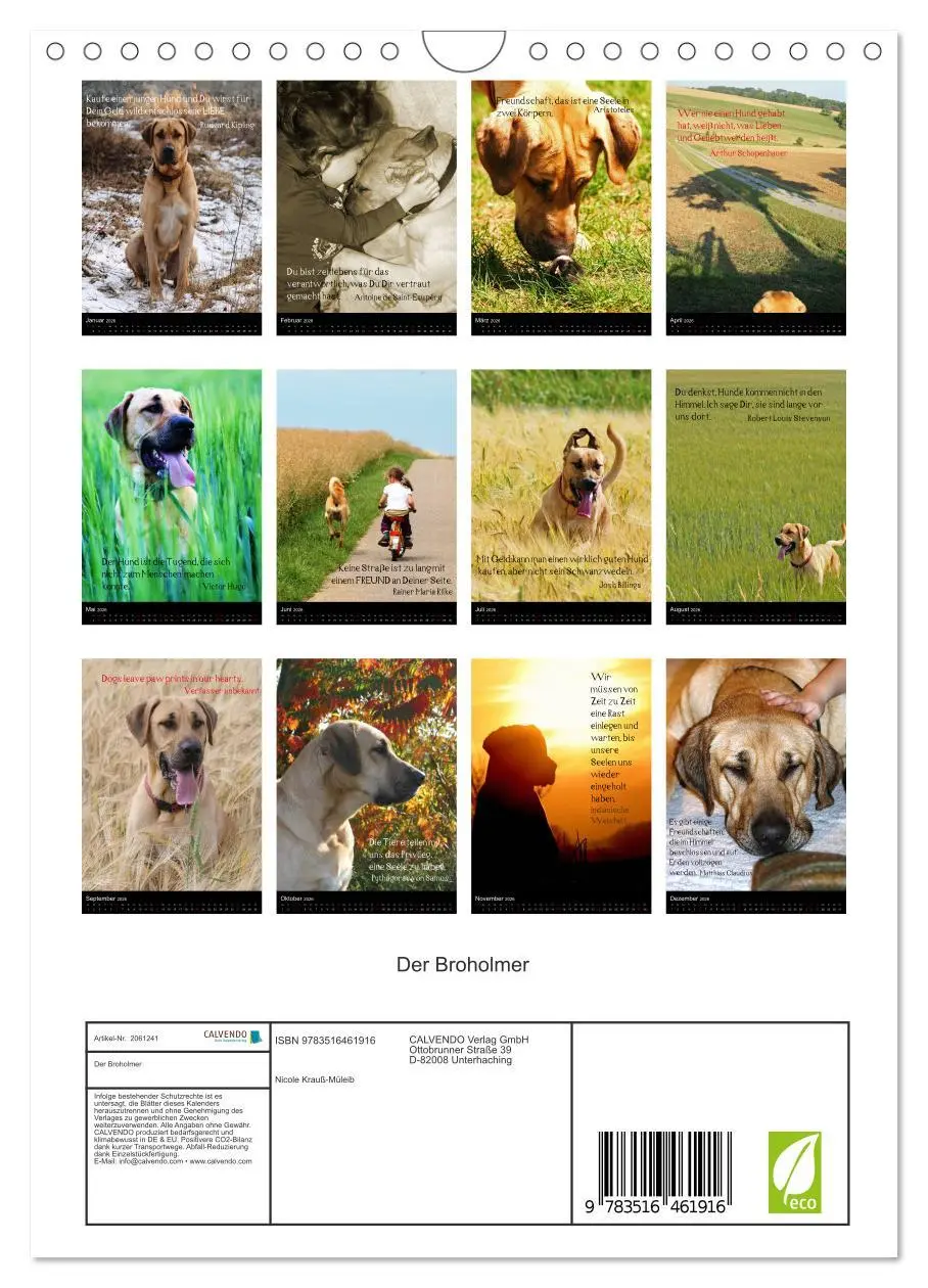 Bild: 9783516461916 | Der Broholmer (Wandkalender 2026 DIN A4 hoch), CALVENDO Monatskalender