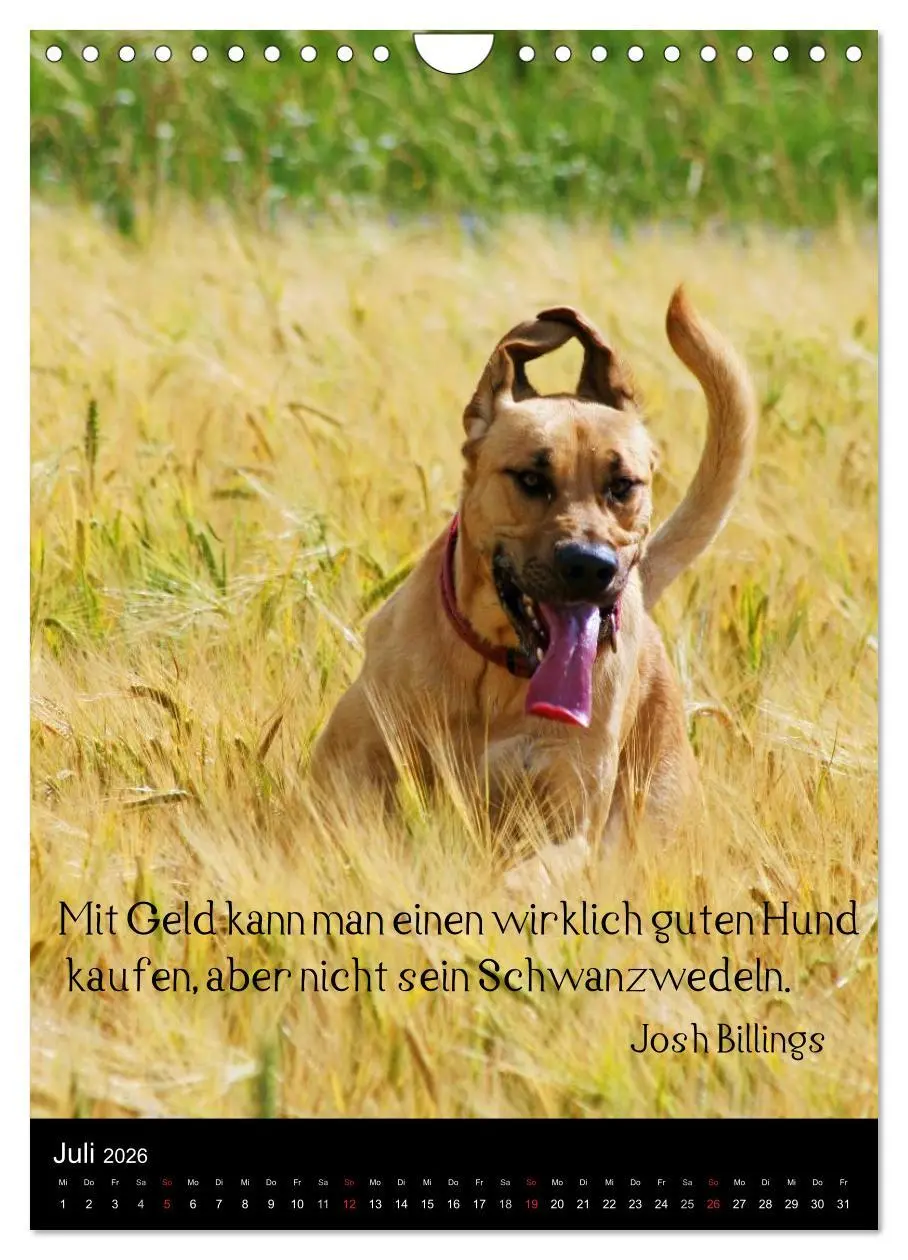 Bild: 9783516461916 | Der Broholmer (Wandkalender 2026 DIN A4 hoch), CALVENDO Monatskalender