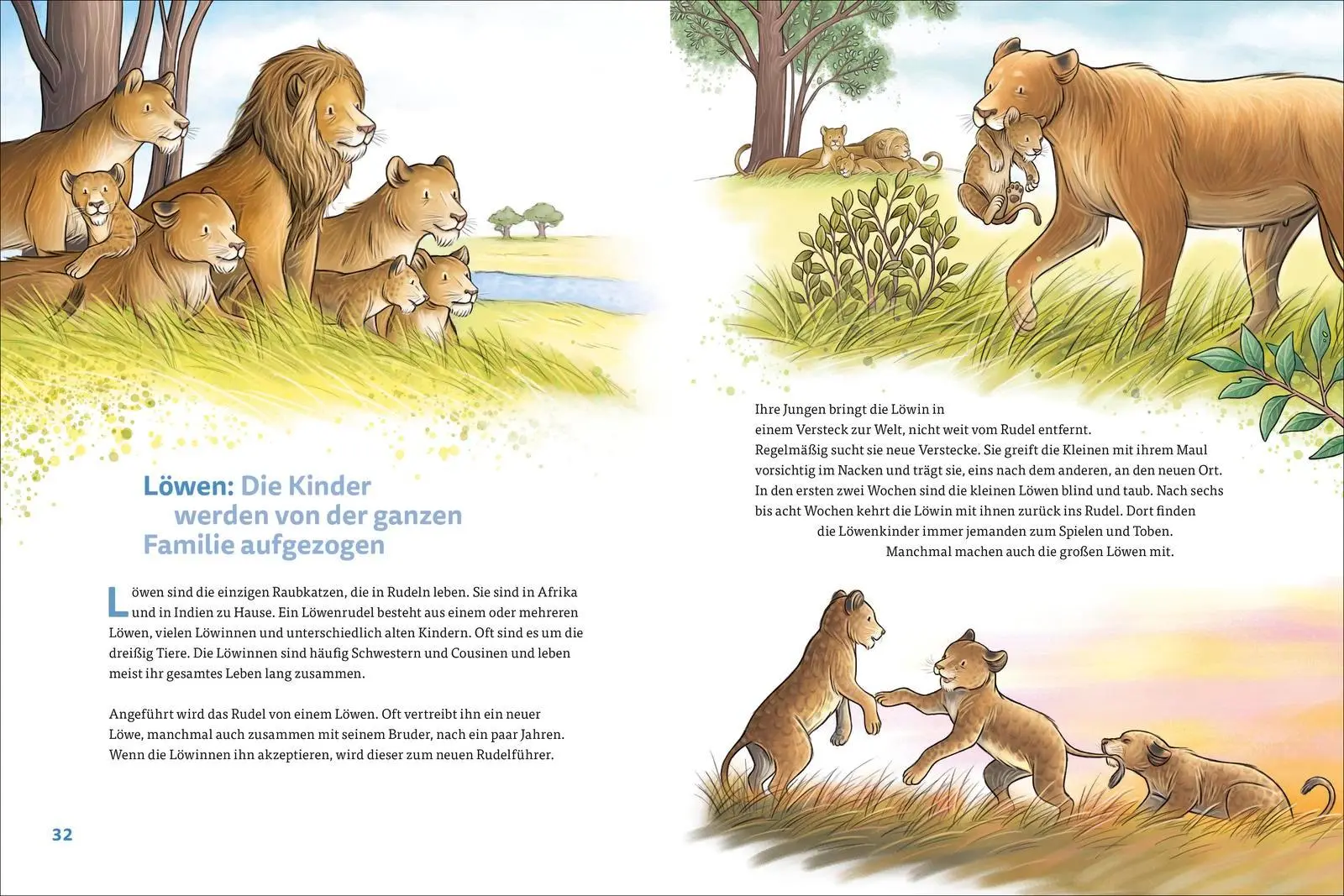 Bild: 9783757101916 | Die kunterbunte Welt der Tierfamilien | Christian Johannsmann | Buch