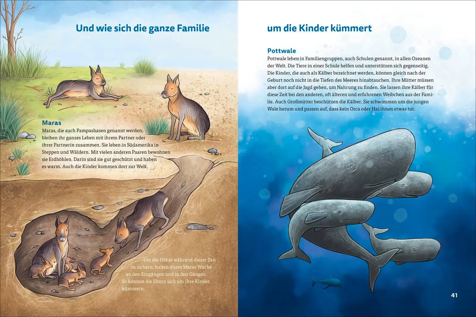 Bild: 9783757101916 | Die kunterbunte Welt der Tierfamilien | Christian Johannsmann | Buch