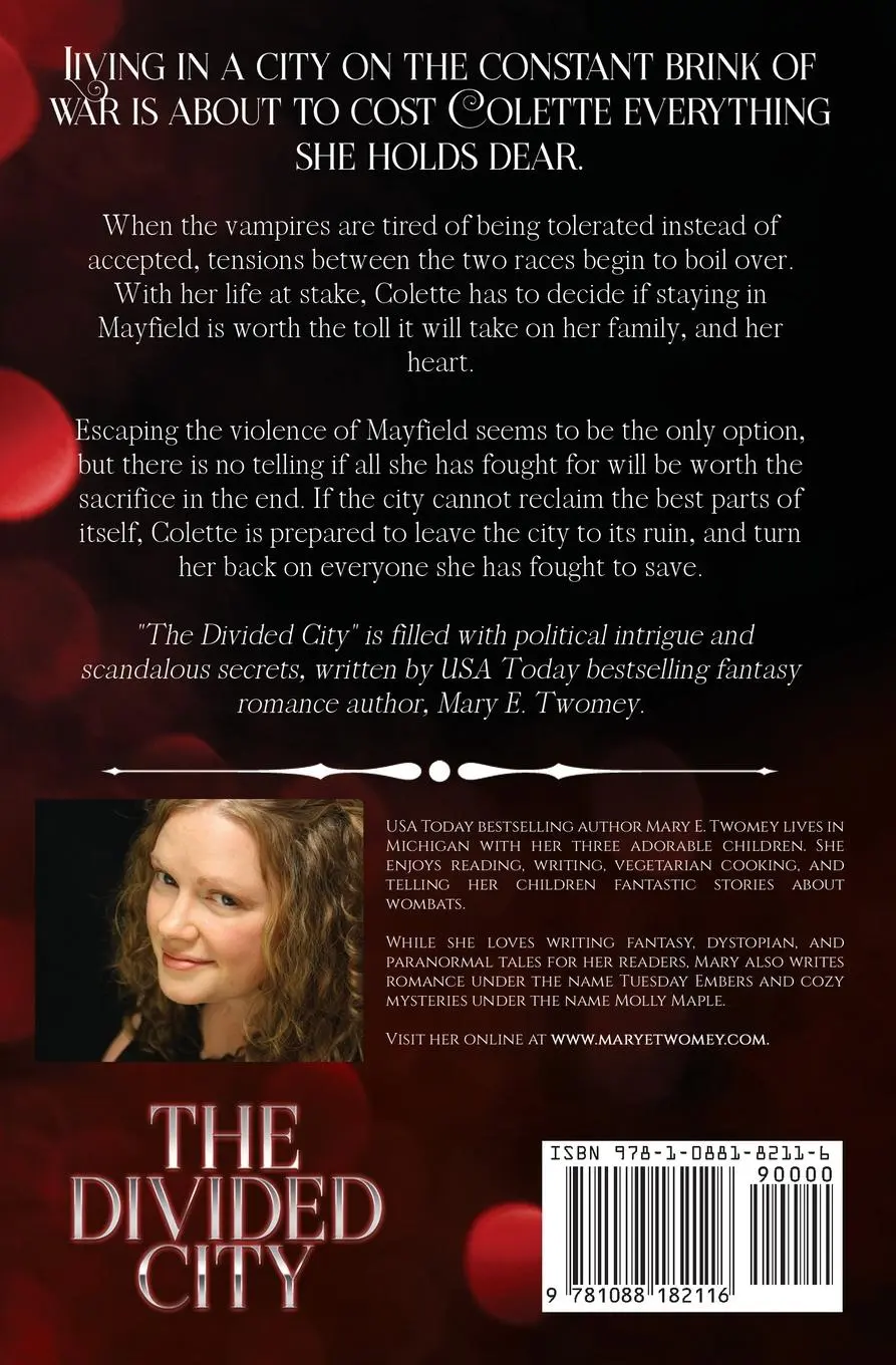 Rückseite: 9781088182116 | The Divided City | Mary E. Twomey | Taschenbuch | Englisch | 2021