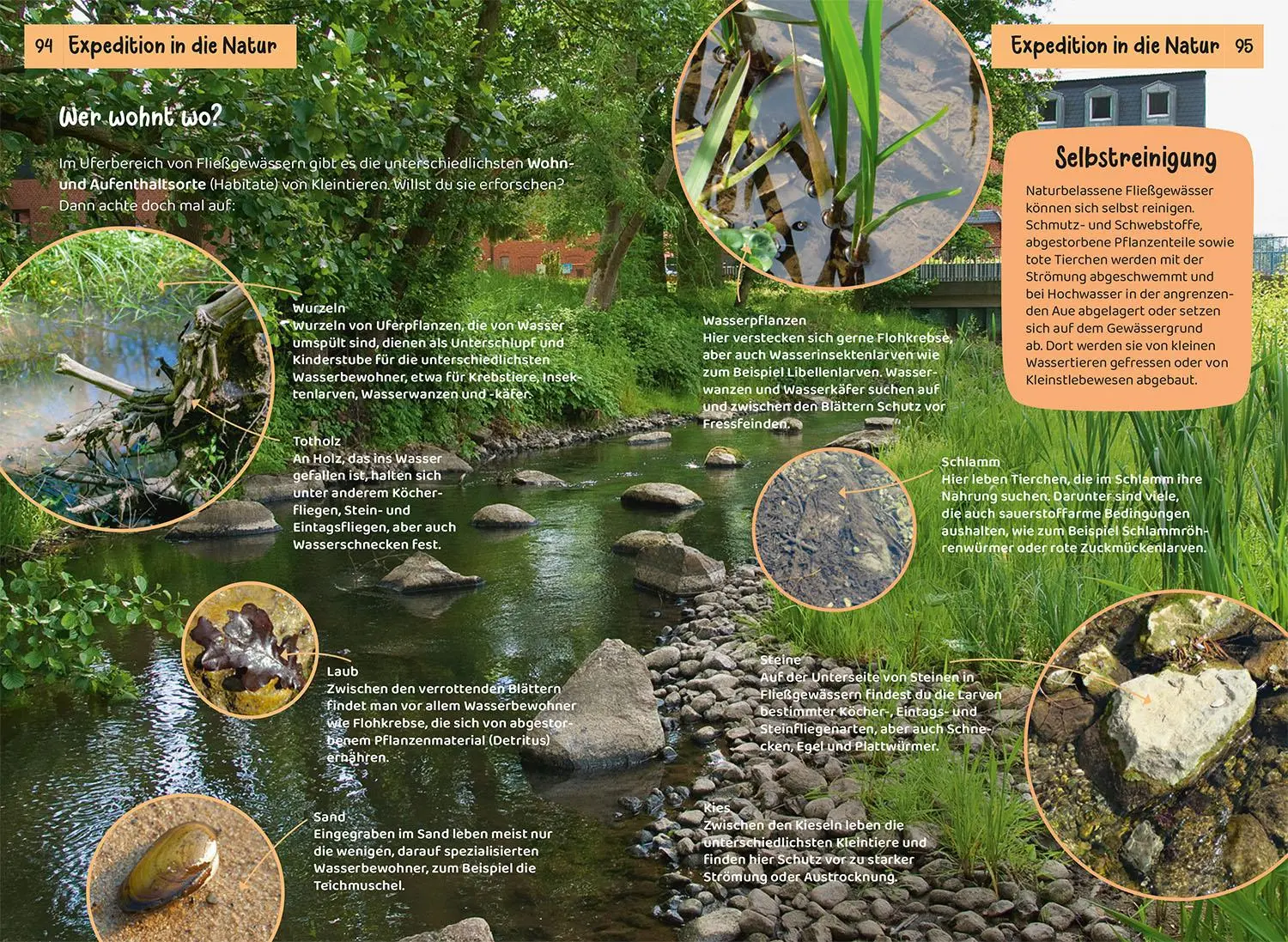 Bild: 9783440182116 | Was lebt an Bach und Teich? Kindernaturführer | Anita van Saan | Buch