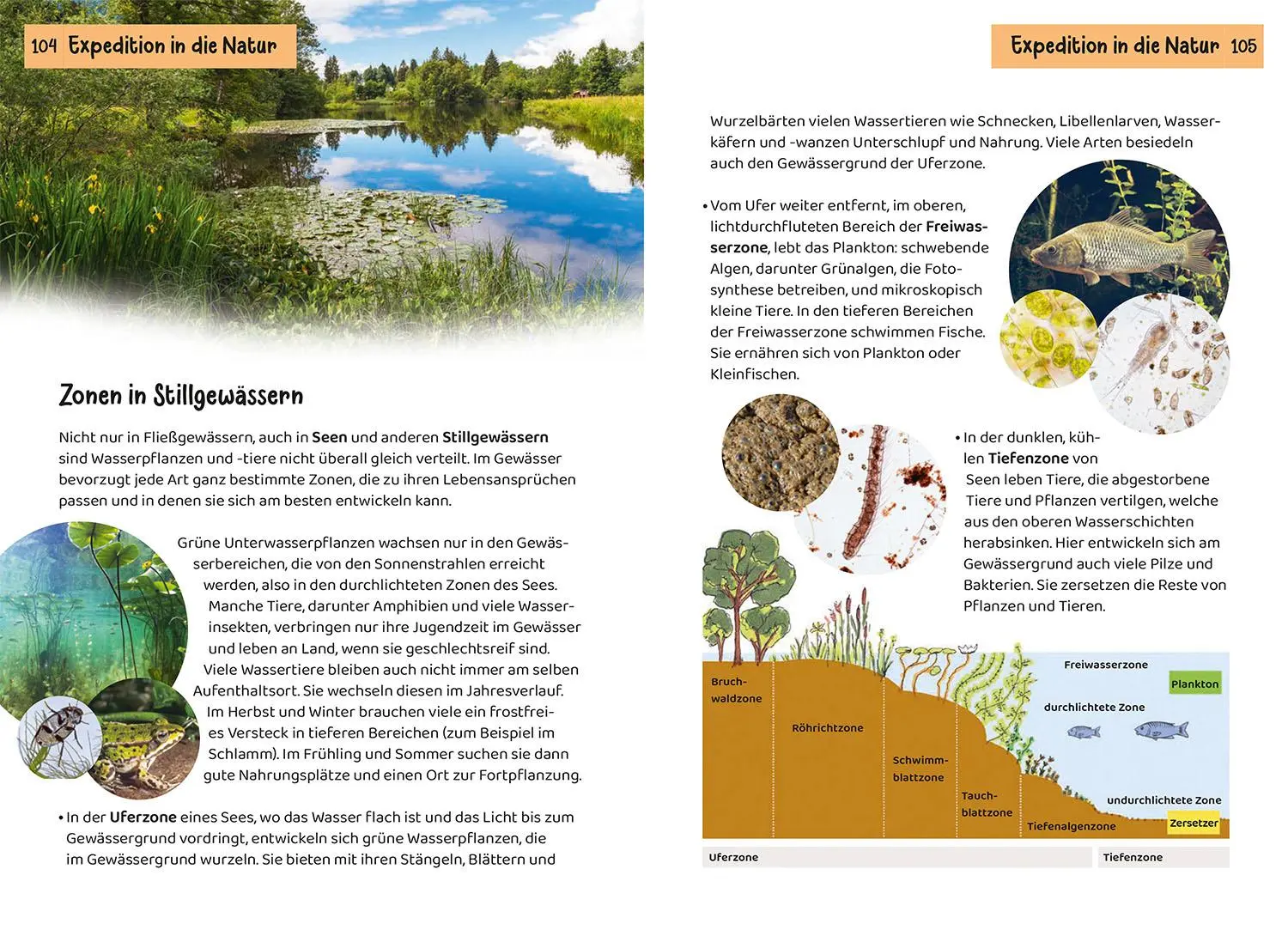 Bild: 9783440182116 | Was lebt an Bach und Teich? Kindernaturführer | Anita van Saan | Buch