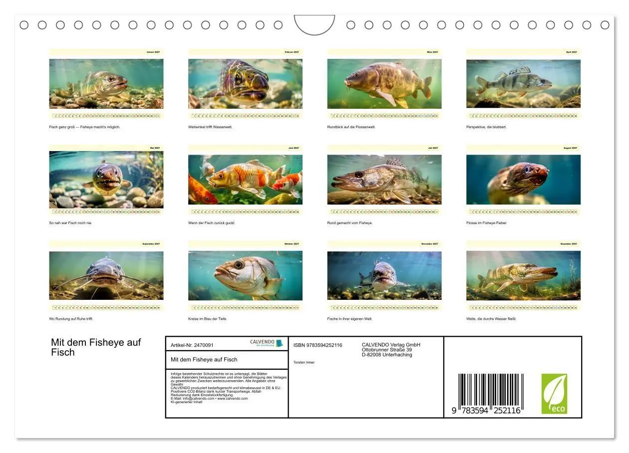 Bild: 9783594252116 | Mit dem Fisheye auf Fisch (Wandkalender 2027 DIN A4 quer), CALVENDO...