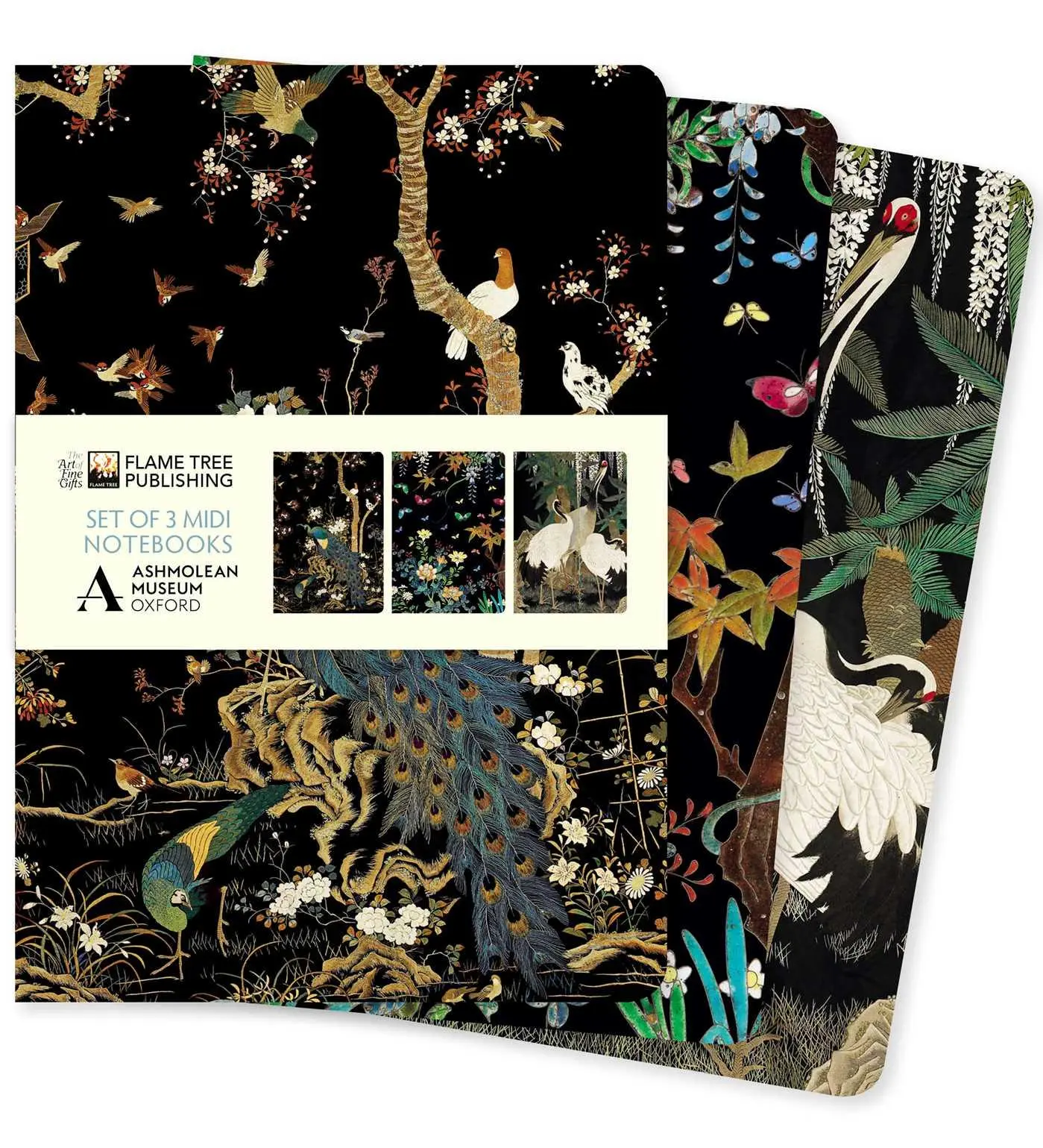 Ashmolean Museum Set of 3 MIDI Notebooks - Neuware