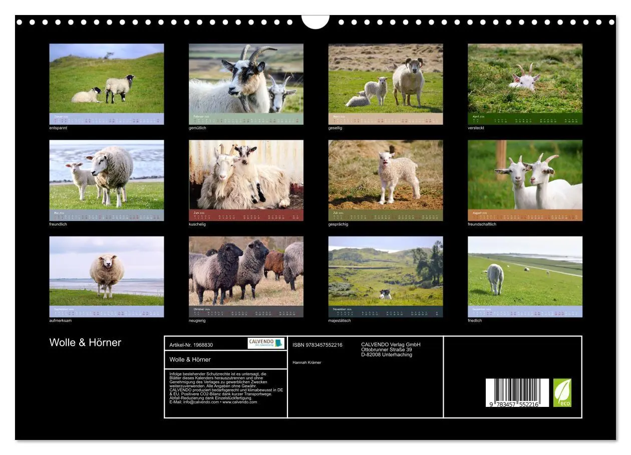 Bild: 9783457552216 | Wolle &amp; Hörner (Wandkalender 2026 DIN A3 quer), CALVENDO...