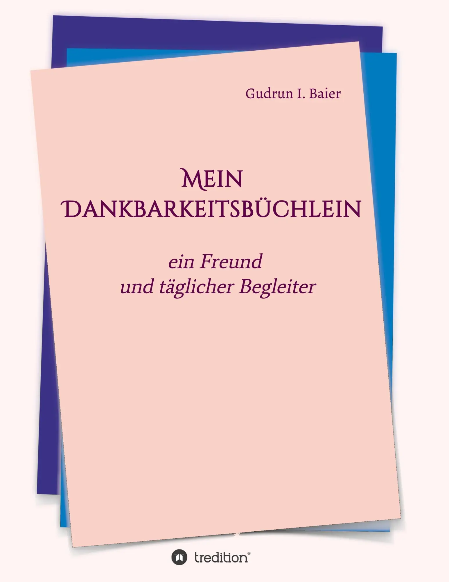 Cover: 9783743972216 | Mein Dankbarkeitsbüchlein | ein Freund und täglicher Begleiter | Baier