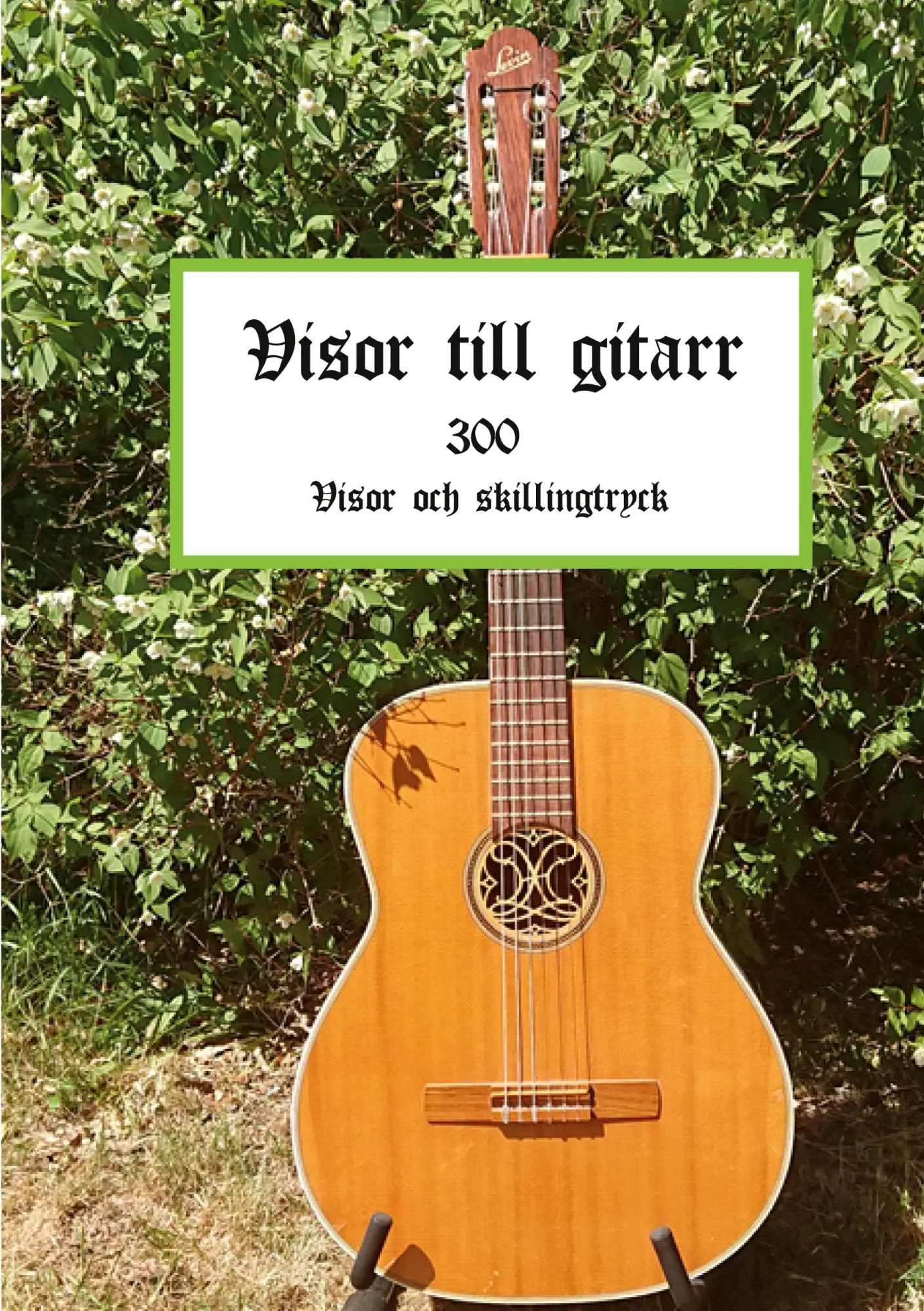 Cover: 9789179692216 | Visor till gitarr | 300 Visor och skillingtryck | Anders Berglund