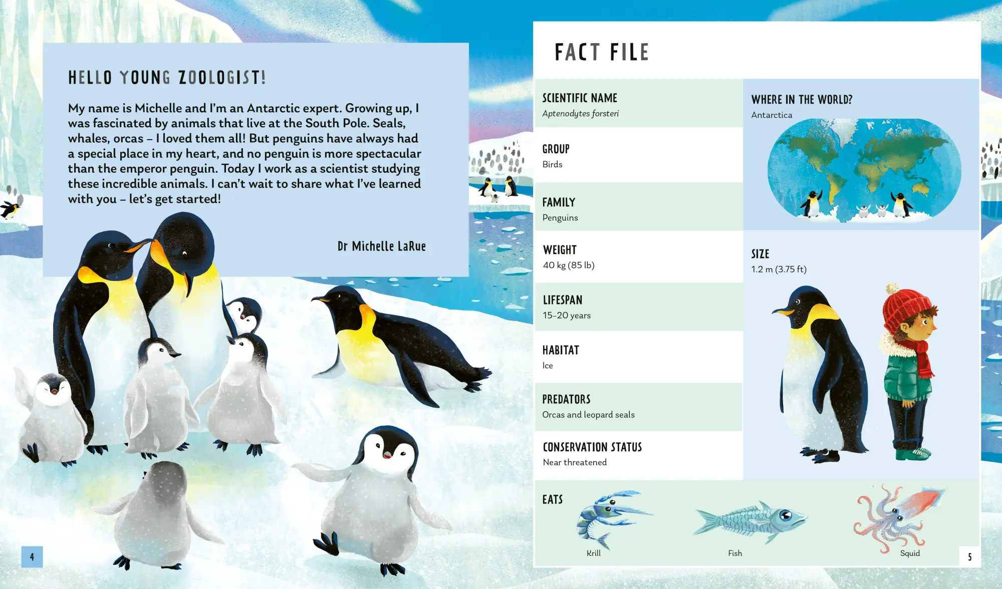 Bild: 9781838992316 | Emperor Penguin (Young Zoologist) | Michelle Larue (u. a.) | Buch