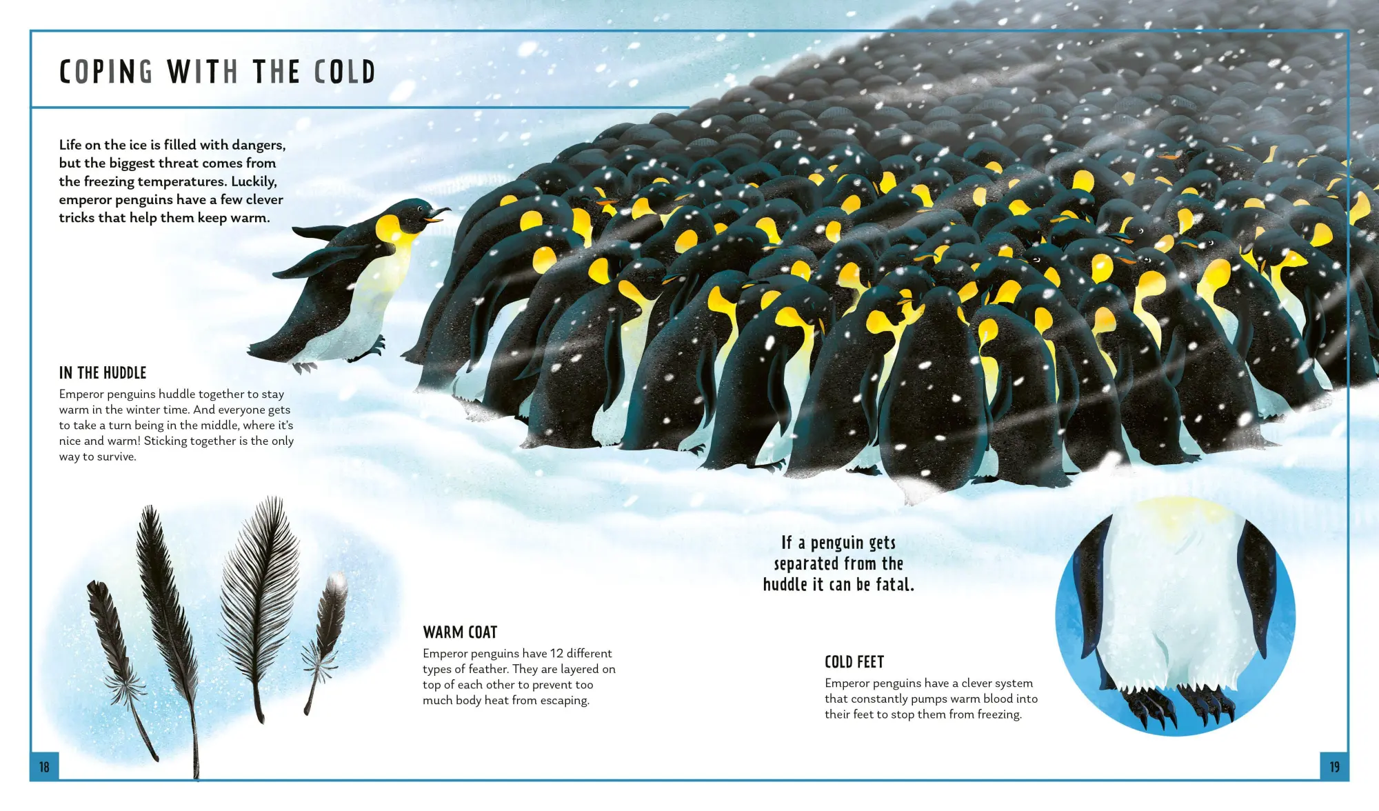 Bild: 9781838992316 | Emperor Penguin (Young Zoologist) | Michelle Larue (u. a.) | Buch