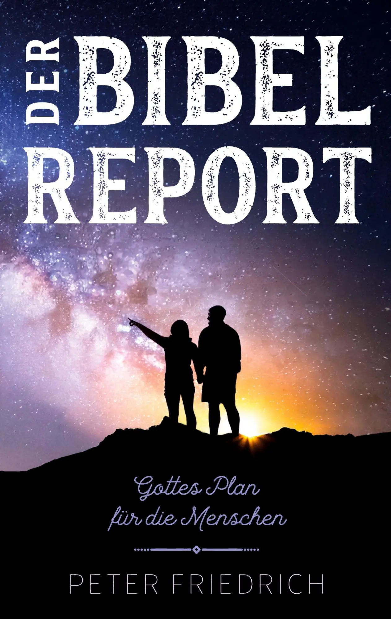 Cover: 9783695762316 | Der Bibelreport | Gottes Plan für die Menschen | Peter Friedrich