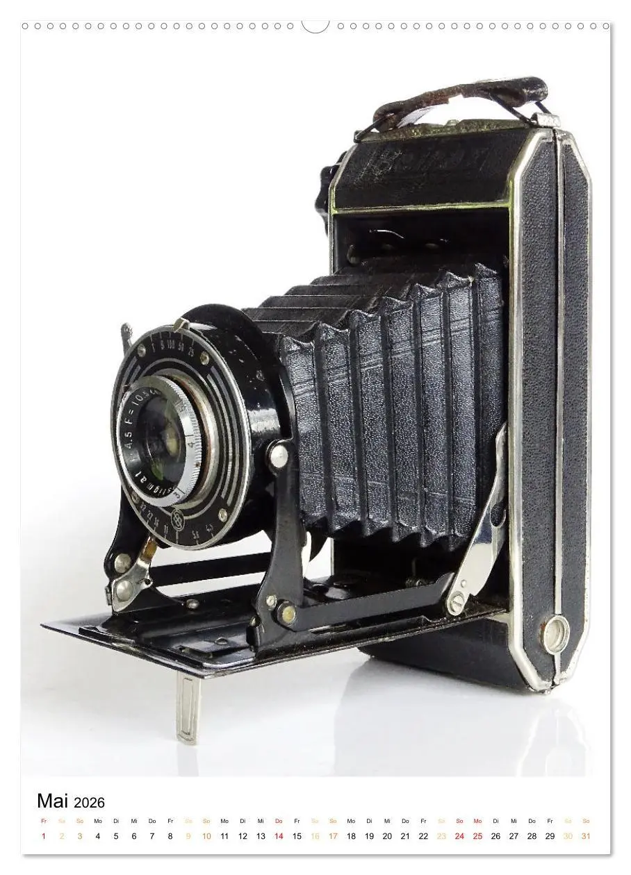 Bild: 9783516312416 | Balgenkameras - Analoge Fotoapparate mit Charme (hochwertiger...