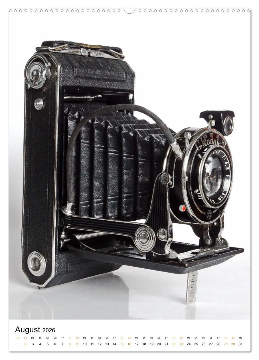 Bild: 9783516312416 | Balgenkameras - Analoge Fotoapparate mit Charme (hochwertiger...
