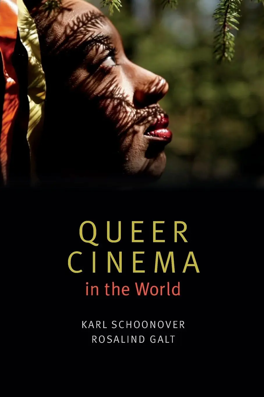 Cover: 9780822362616 | Queer Cinema in the World | Karl Schoonover | Taschenbuch | Englisch