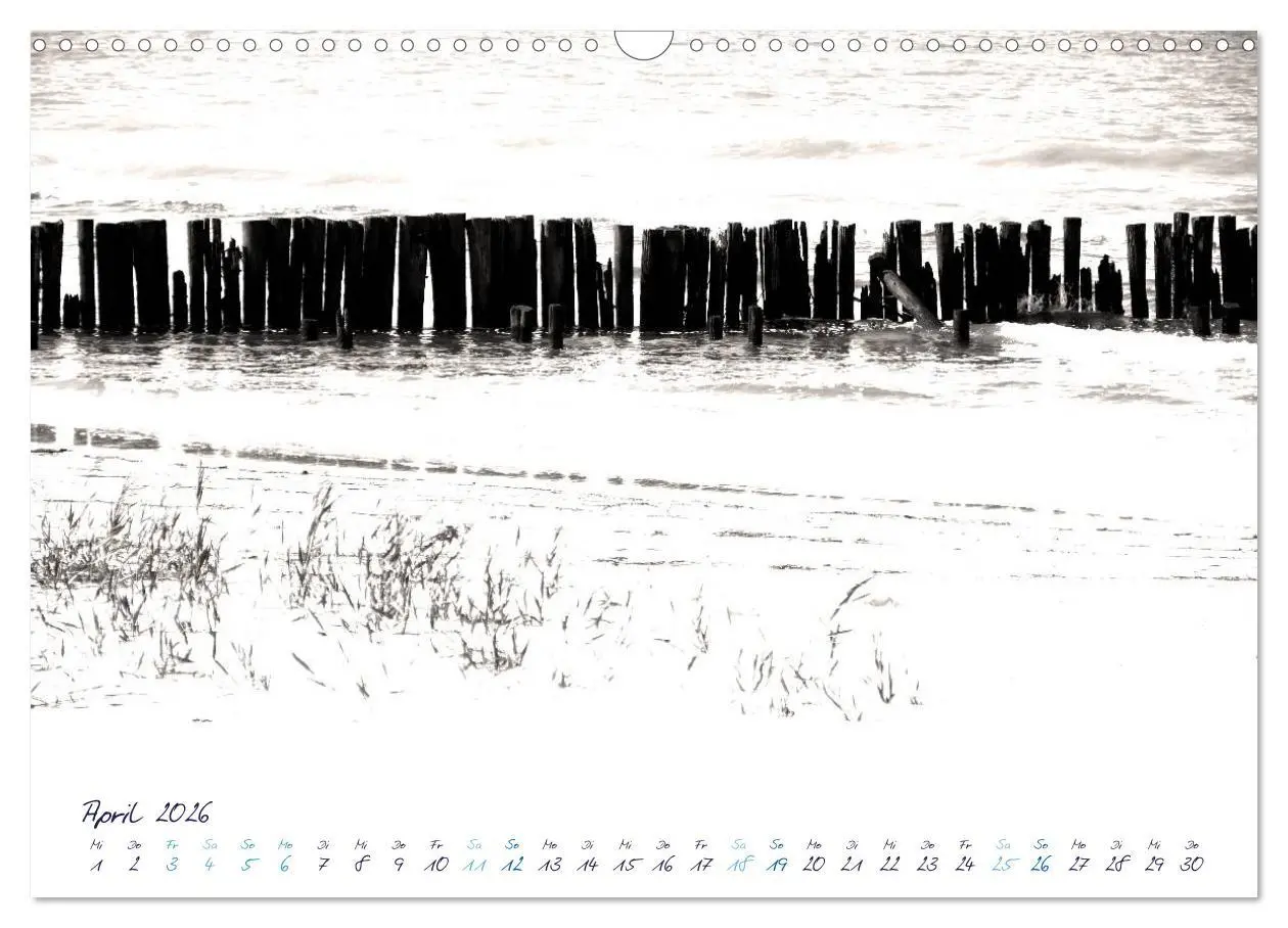 Bild: 9783516222616 | Meeresbilder - Nordsee-Impressionen (Wandkalender 2026 DIN A3...