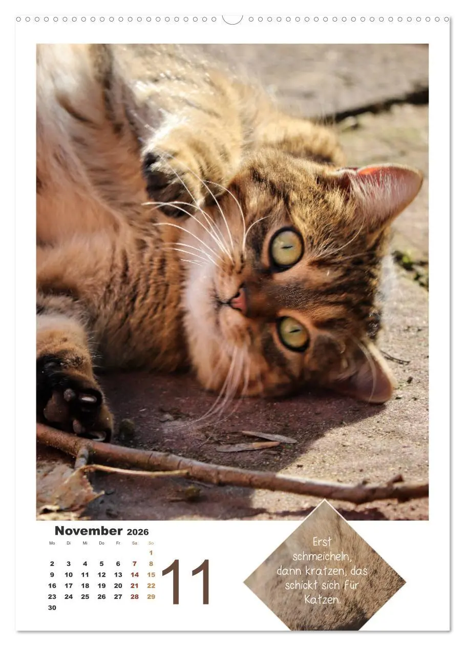 Bild: 9783516392616 | Wilde Tätzchen, sanfte Pfötchen (hochwertiger Premium Wandkalender...