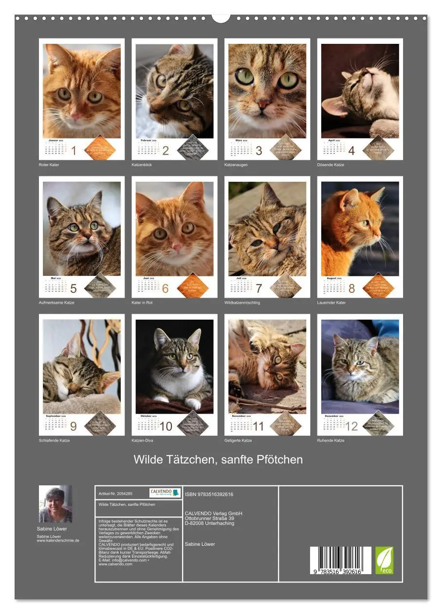 Bild: 9783516392616 | Wilde Tätzchen, sanfte Pfötchen (hochwertiger Premium Wandkalender...