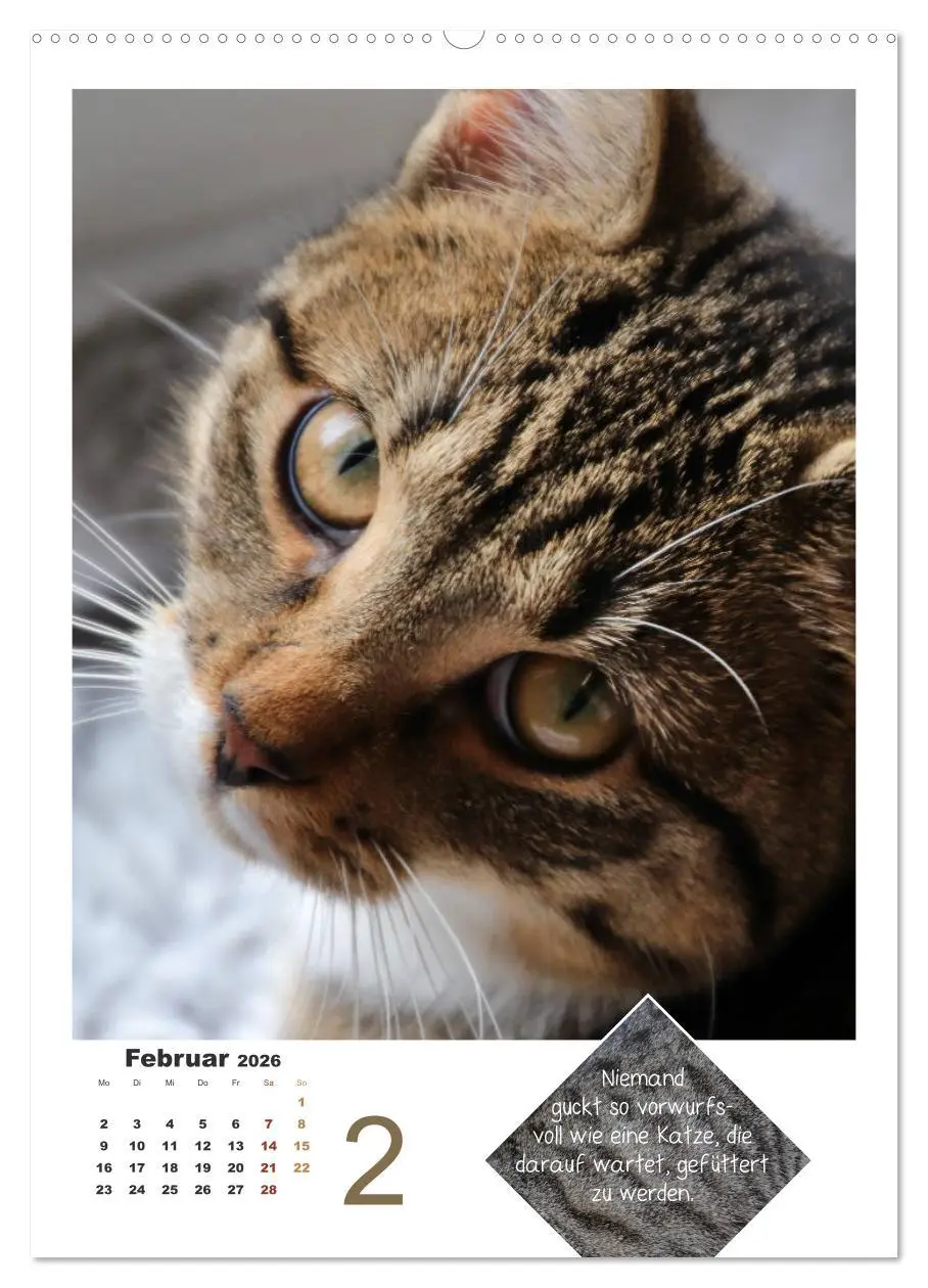 Bild: 9783516392616 | Wilde Tätzchen, sanfte Pfötchen (hochwertiger Premium Wandkalender...