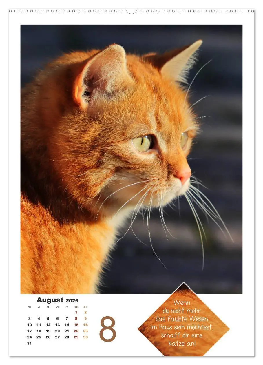 Bild: 9783516392616 | Wilde Tätzchen, sanfte Pfötchen (hochwertiger Premium Wandkalender...