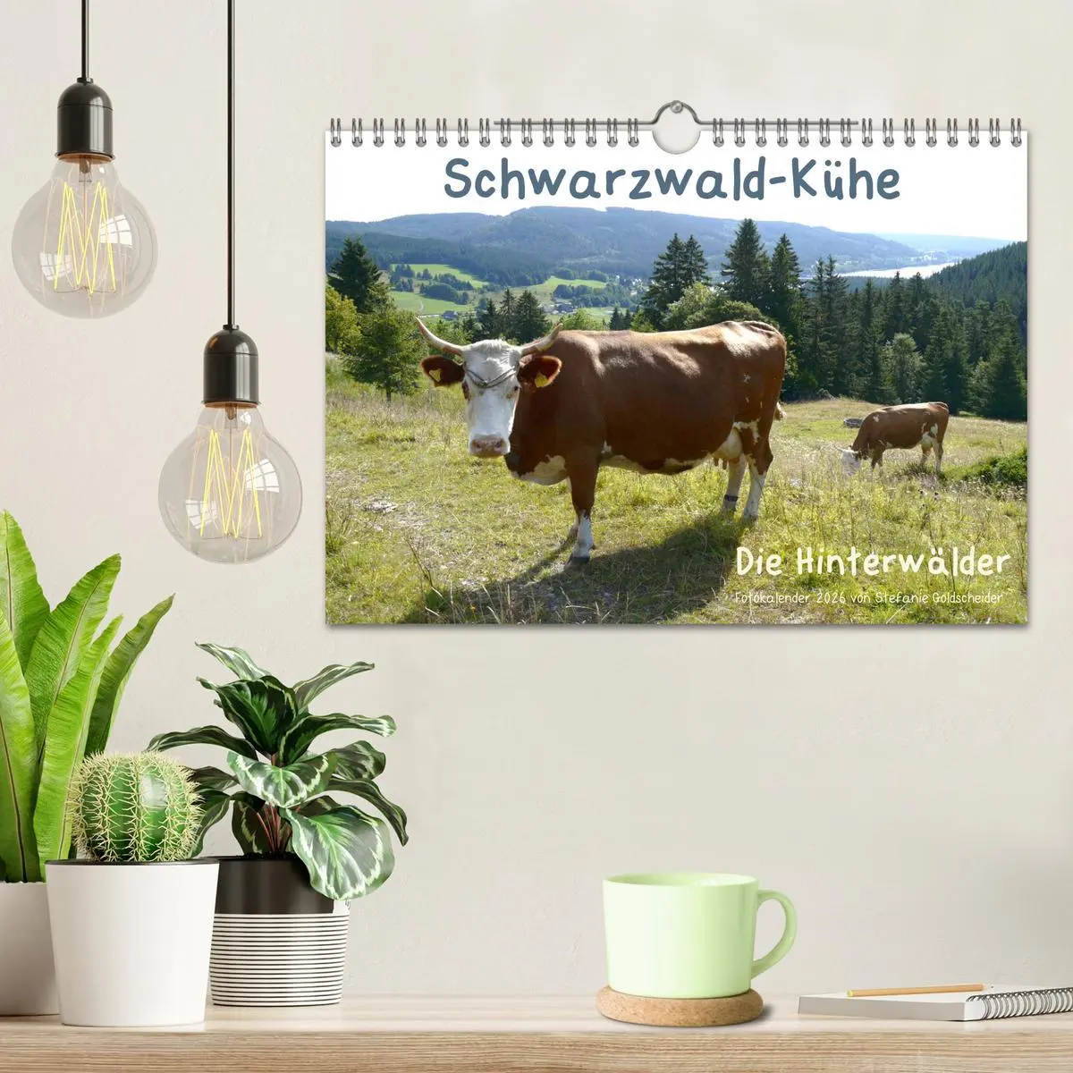 Bild: 9783457812716 | Schwarzwald-Kühe - Die Hinterwälder (Wandkalender 2026 DIN A4...