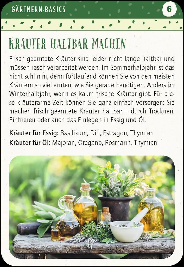 Bild: 9783964552716 | Blatt &amp; Blüte Kräuterglück | Pflanze dir ein frisches Kräuterglück