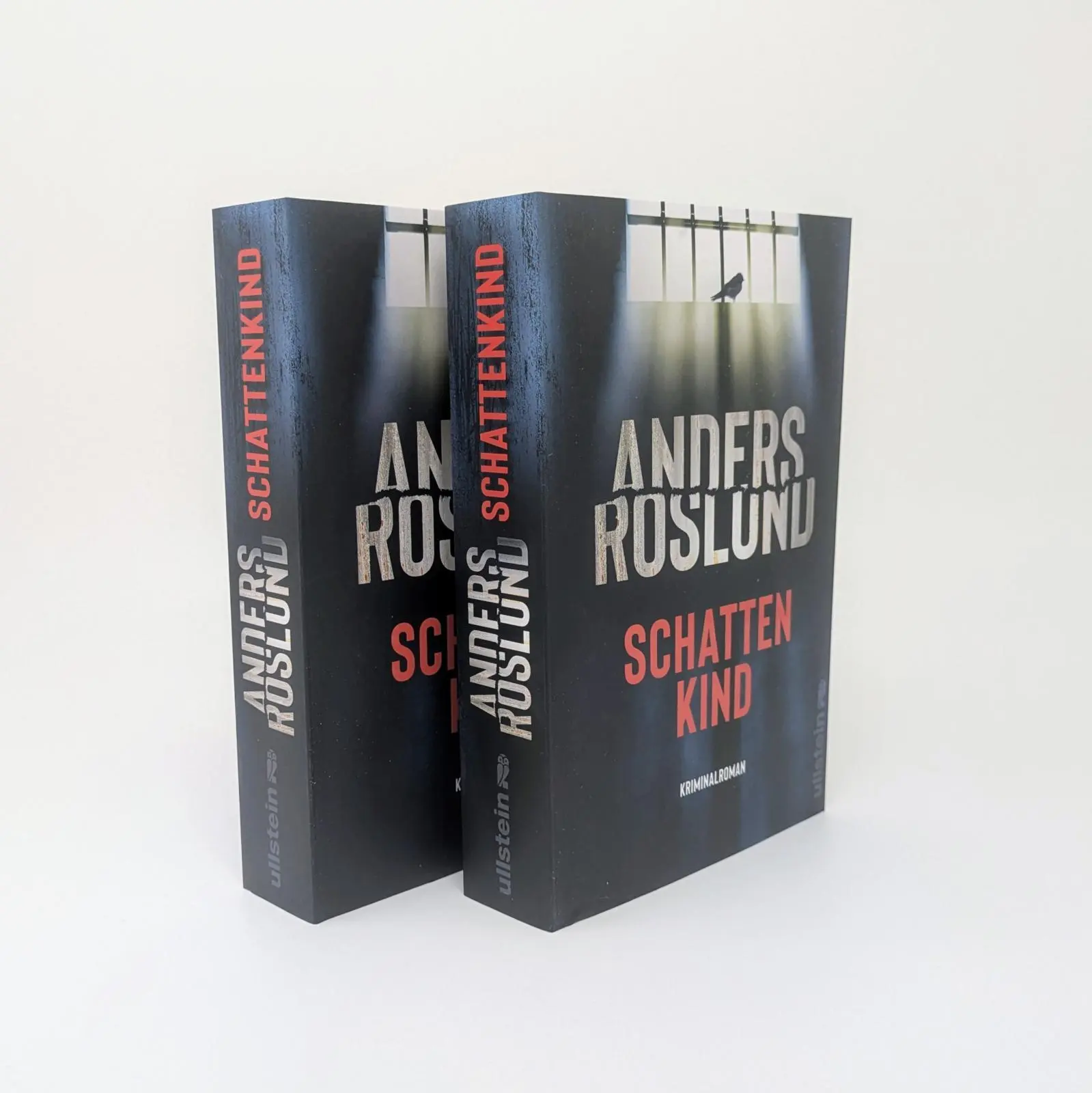 Bild: 9783864932816 | Schattenkind | Anders Roslund | Taschenbuch | Ewert Grens ermittelt
