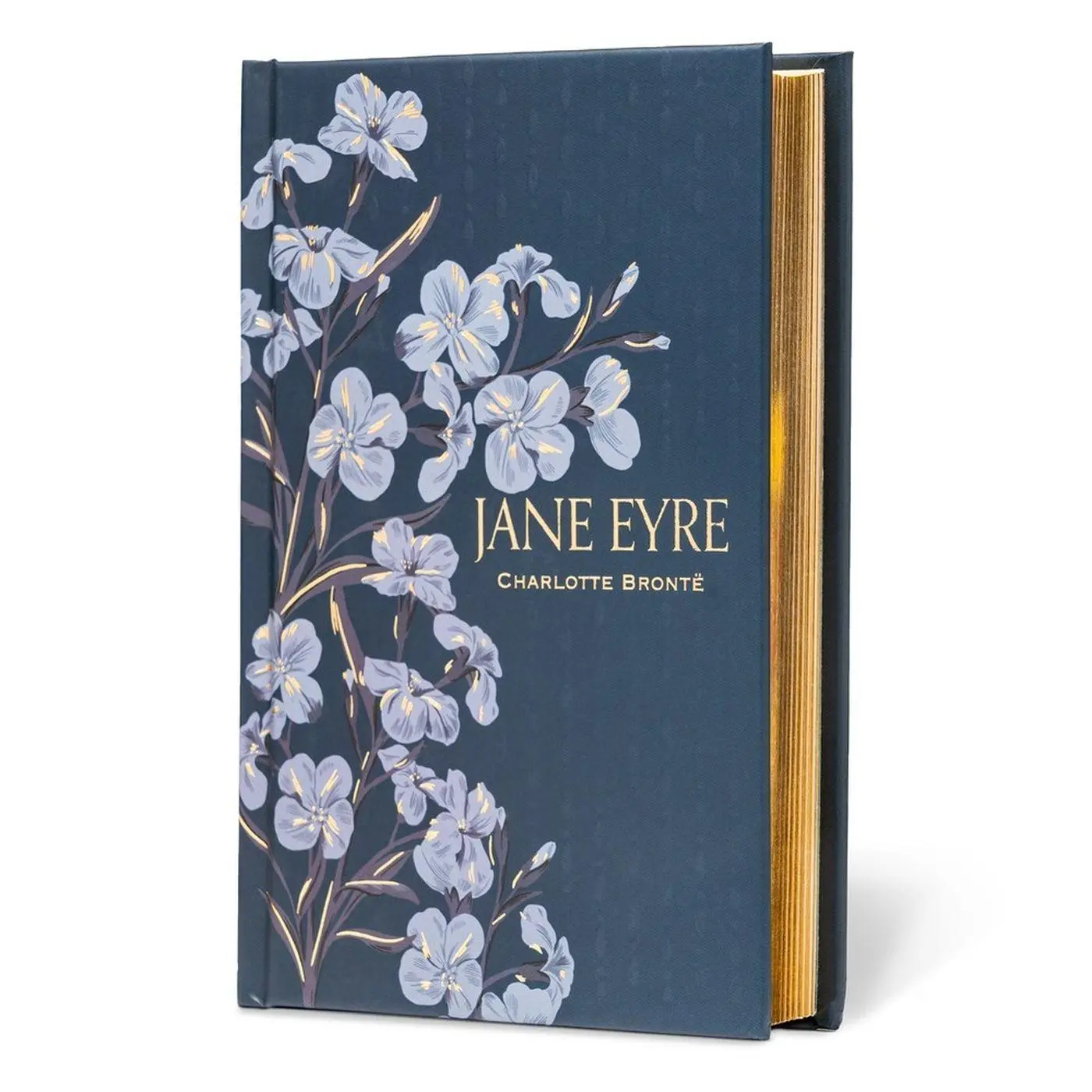 Cover: 9781454952916 | Jane Eyre (Special Edition) | Charlotte Bronte | Buch | Englisch