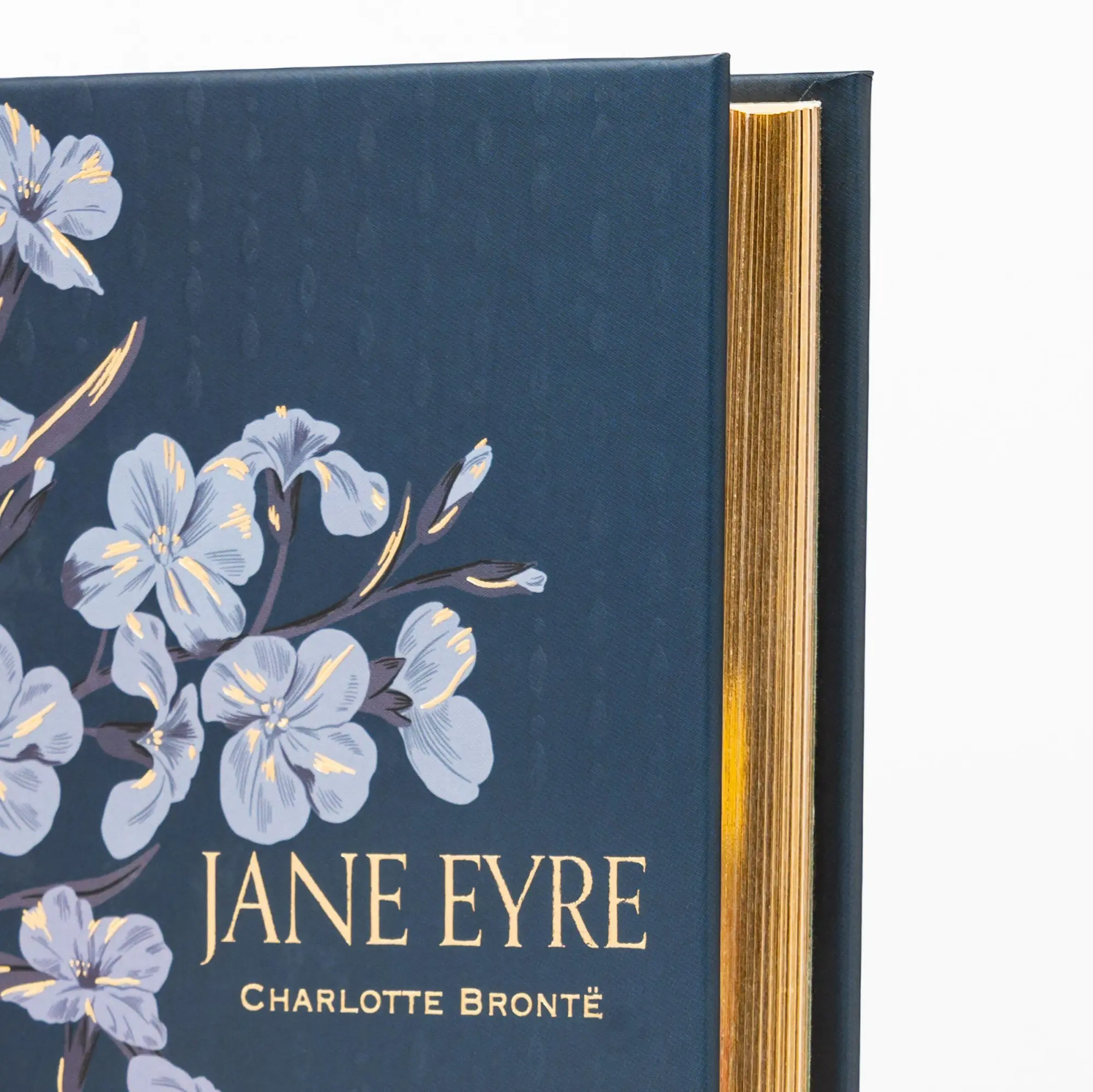 Bild: 9781454952916 | Jane Eyre (Special Edition) | Charlotte Bronte | Buch | Englisch
