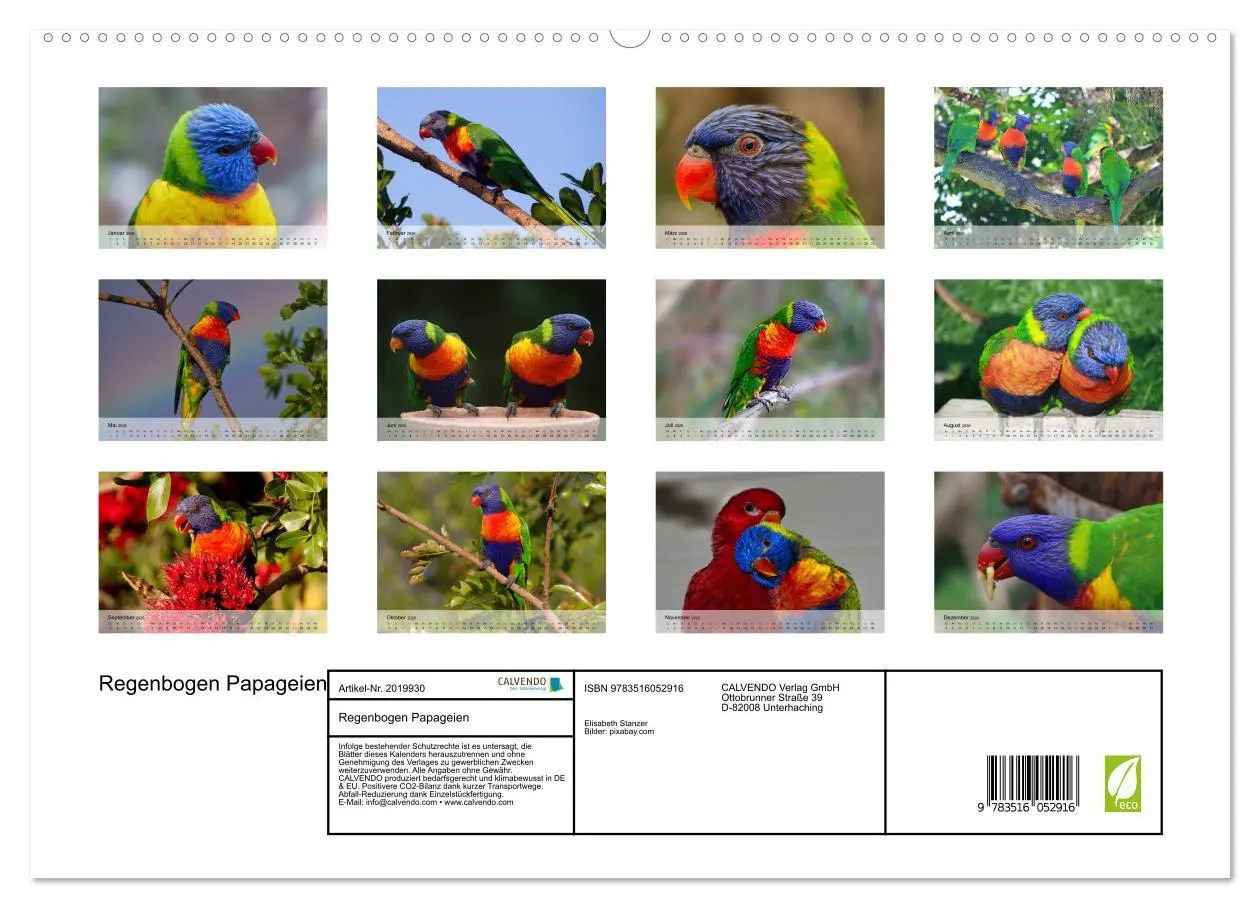 Bild: 9783516052916 | Regenbogen Papageien (hochwertiger Premium Wandkalender 2026 DIN A2...