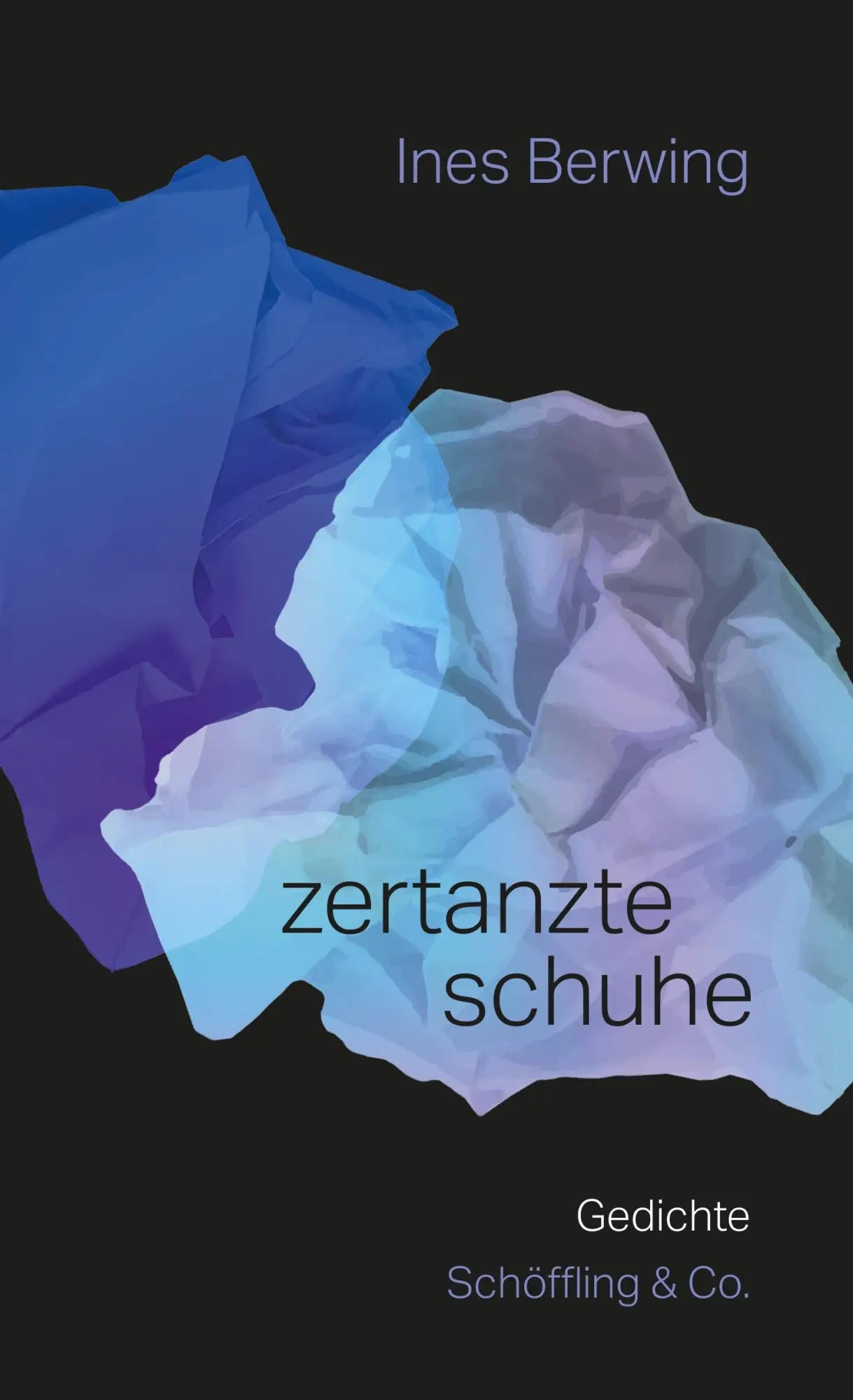 Cover: 9783895612916 | zertanzte schuhe | Gedichte | Ines Berwing | Buch | 112 S. | Deutsch