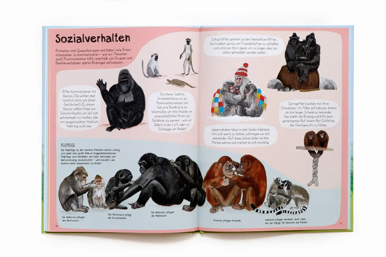 Bild: 9783962443016 | Das Affen-Buch | Zu Besuch bei Primaten aus aller Welt | Katie Viggers
