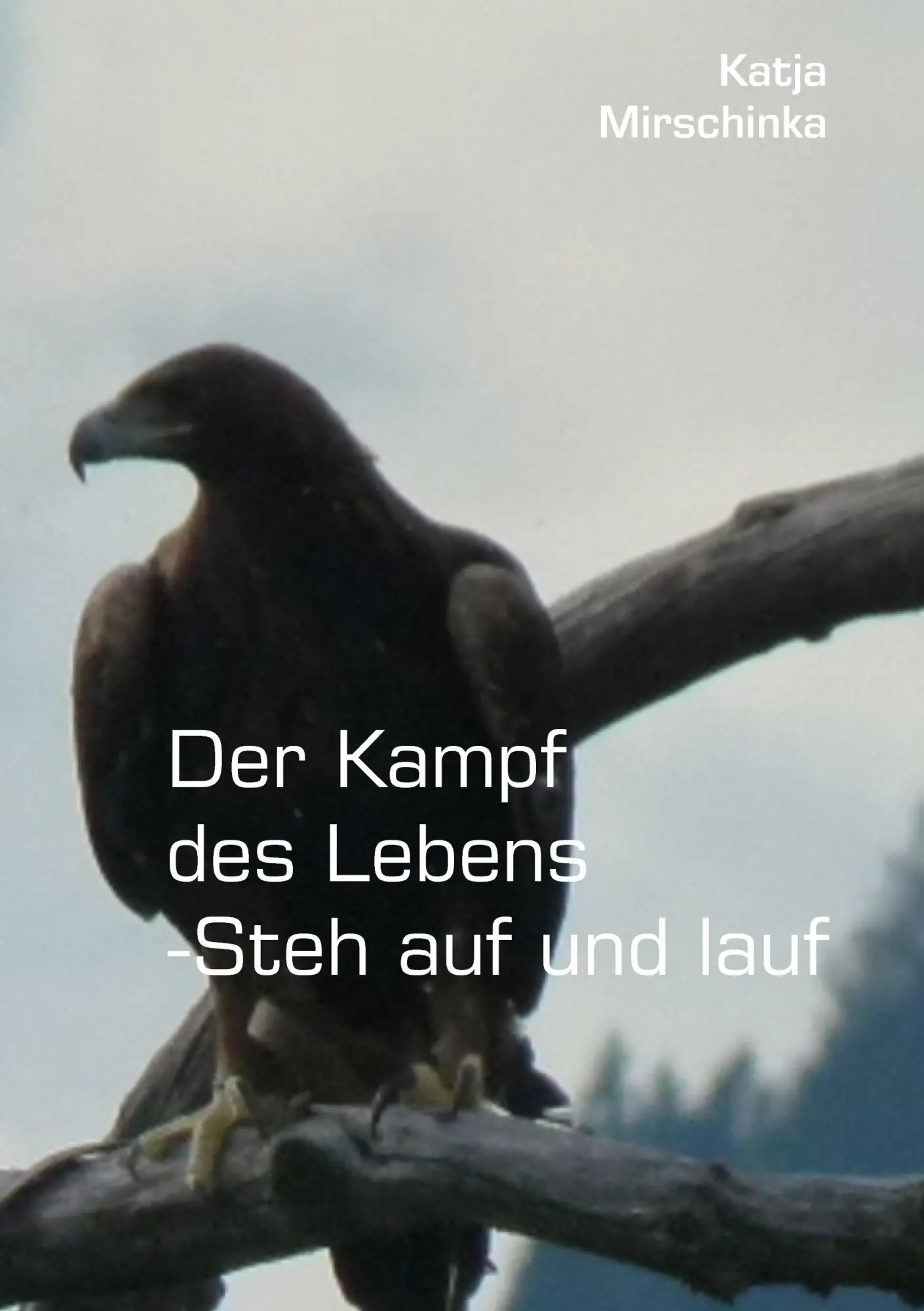 Cover: 9783848203116 | Der Kampf des Lebens - Steh auf und lauf | Katja Mirschinka | Buch
