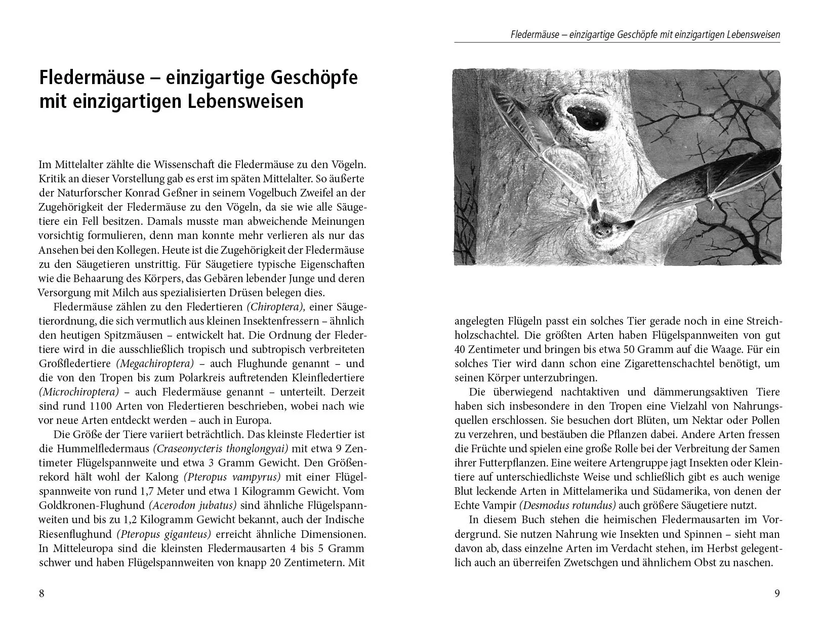Bild: 9783895663116 | Ein Garten für Fledermäuse | Dirk A. Diehl | Buch | 162 S. | Deutsch
