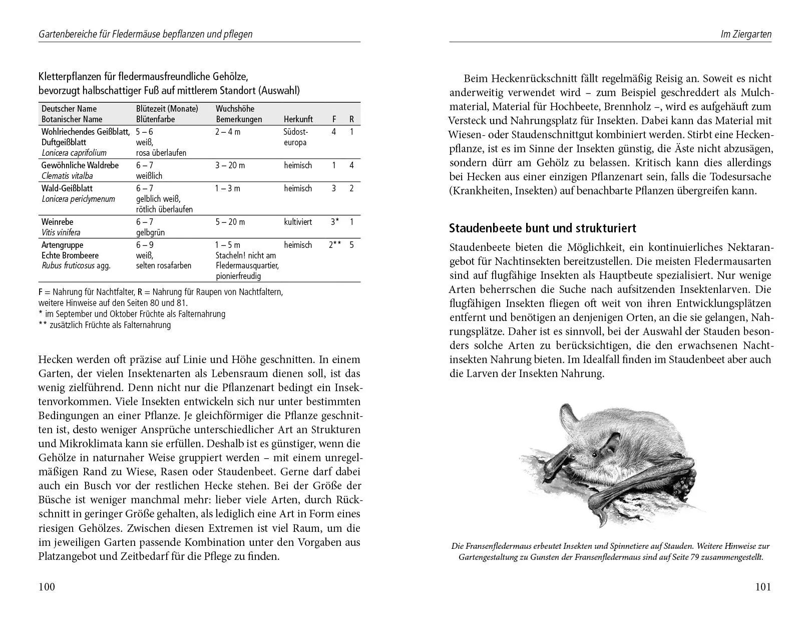 Bild: 9783895663116 | Ein Garten für Fledermäuse | Dirk A. Diehl | Buch | 162 S. | Deutsch