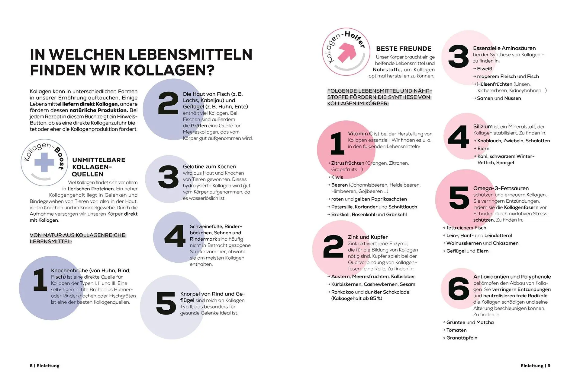 Bild: 9783831053216 | Kollagen: gesund kochen mit dem Super-Protein | Colombel (u. a.)