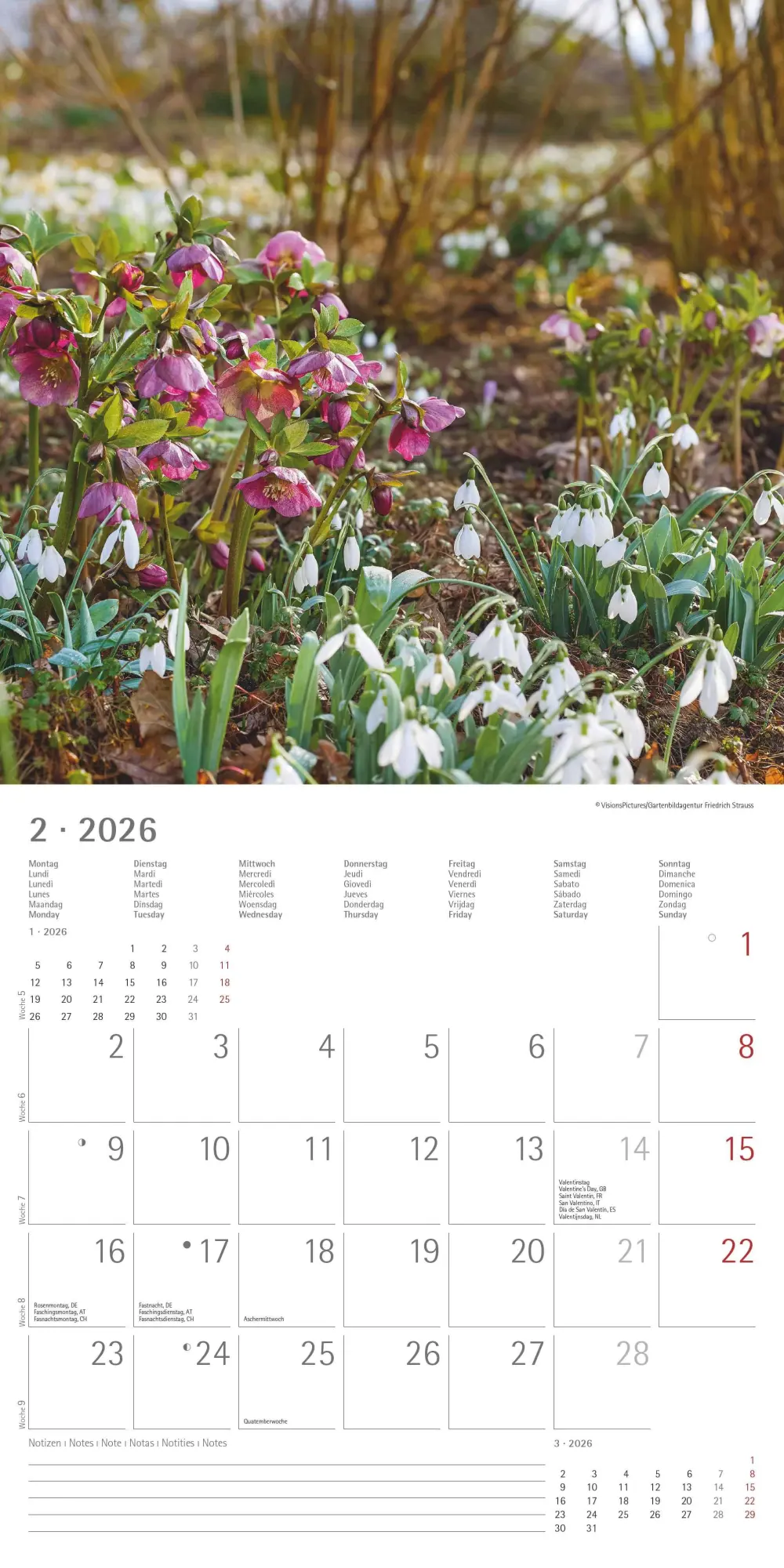 Bild: 4069095003316 | Gartenzauber 2026 - Broschürenkalender 30x30 cm (30x60 geöffnet) -...