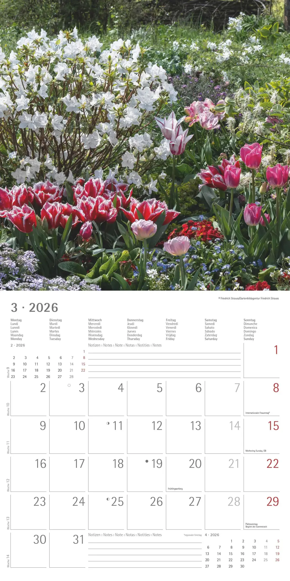 Bild: 4069095003316 | Gartenzauber 2026 - Broschürenkalender 30x30 cm (30x60 geöffnet) -...