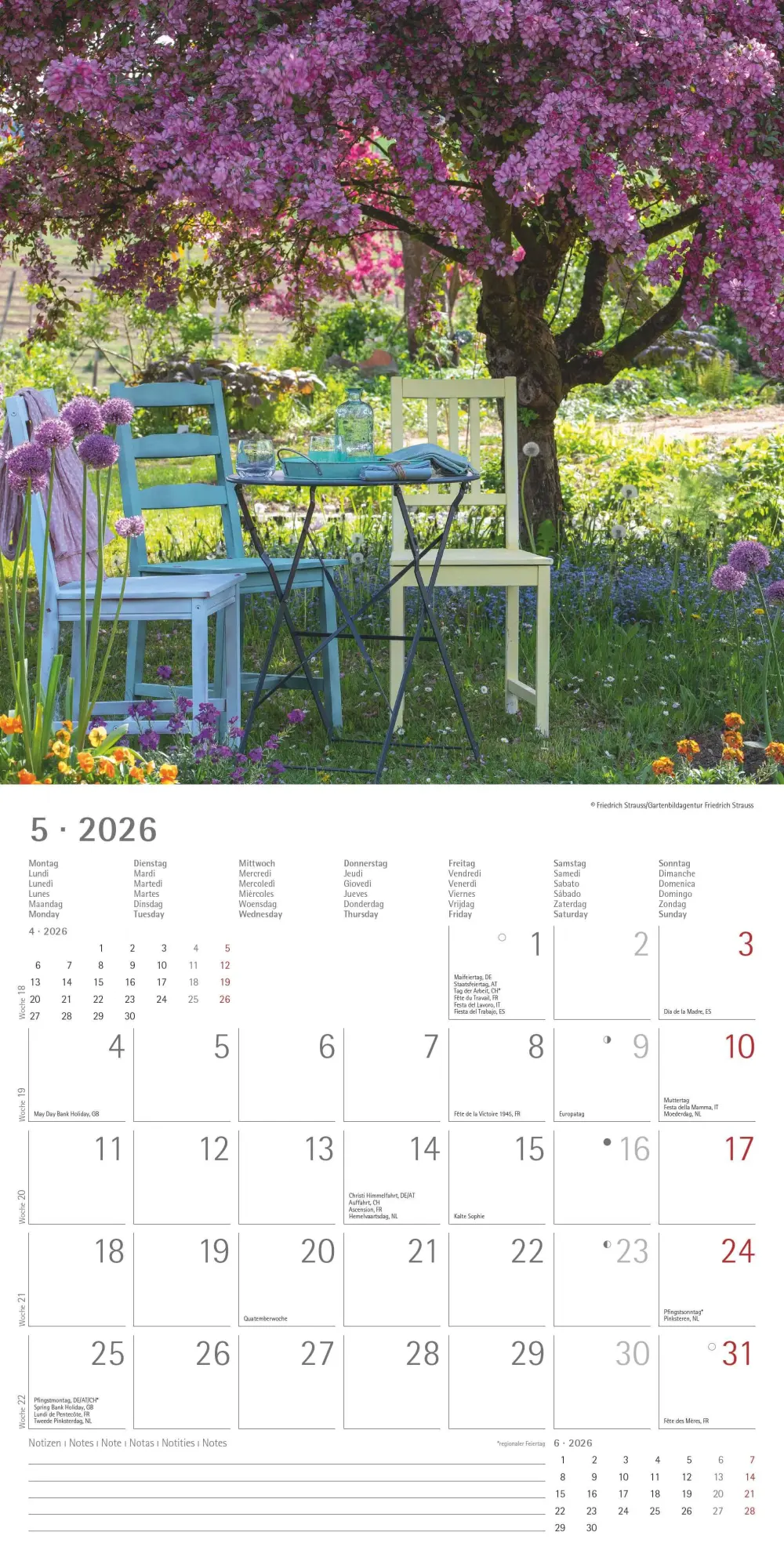 Bild: 4069095003316 | Gartenzauber 2026 - Broschürenkalender 30x30 cm (30x60 geöffnet) -...