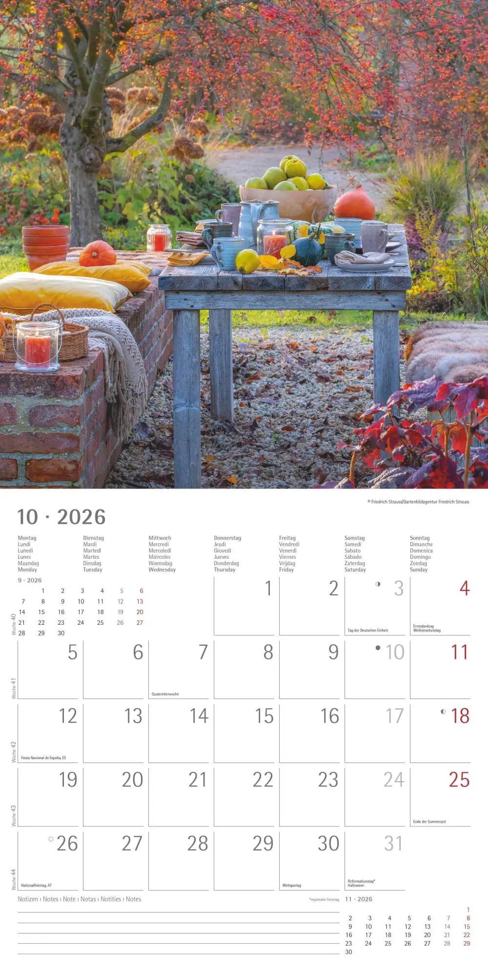 Bild: 4069095003316 | Gartenzauber 2026 - Broschürenkalender 30x30 cm (30x60 geöffnet) -...