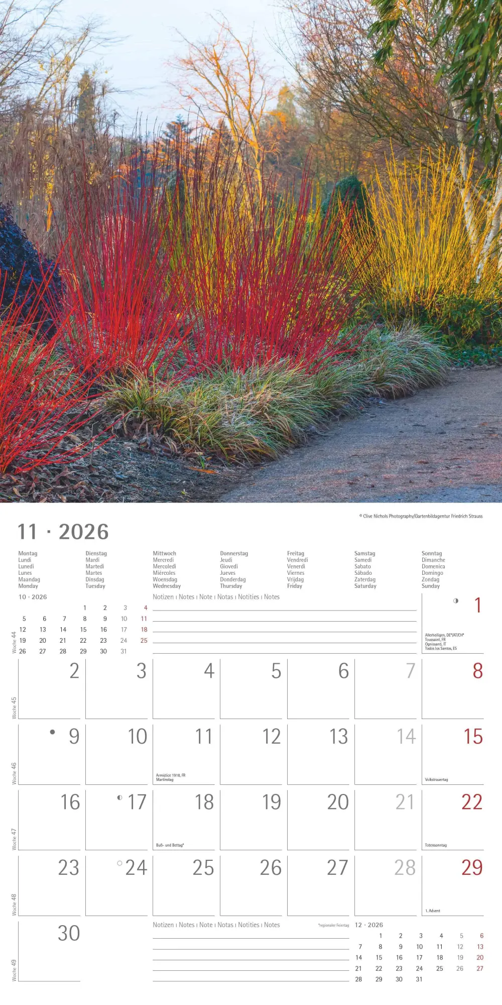 Bild: 4069095003316 | Gartenzauber 2026 - Broschürenkalender 30x30 cm (30x60 geöffnet) -...