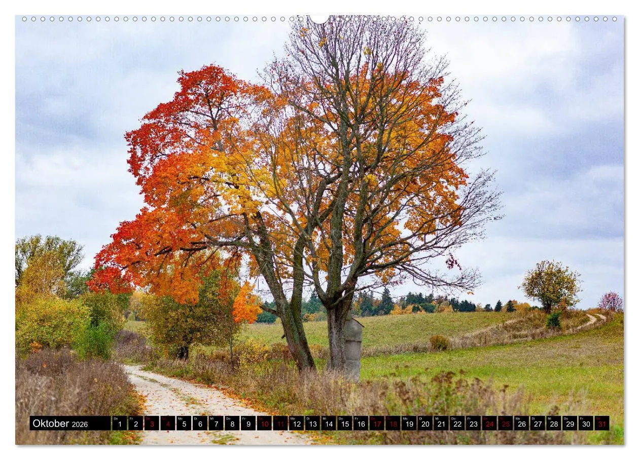 Bild: 9783457683316 | ERMLAND MASUREN (hochwertiger Premium Wandkalender 2026 DIN A2...
