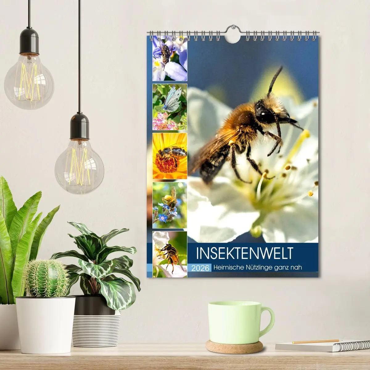 Bild: 9783516393316 | INSEKTENWELT - Heimische Nützlinge ganz nah (Wandkalender 2026 DIN...