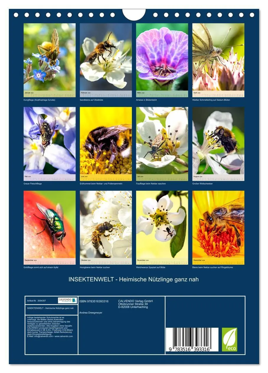 Bild: 9783516393316 | INSEKTENWELT - Heimische Nützlinge ganz nah (Wandkalender 2026 DIN...