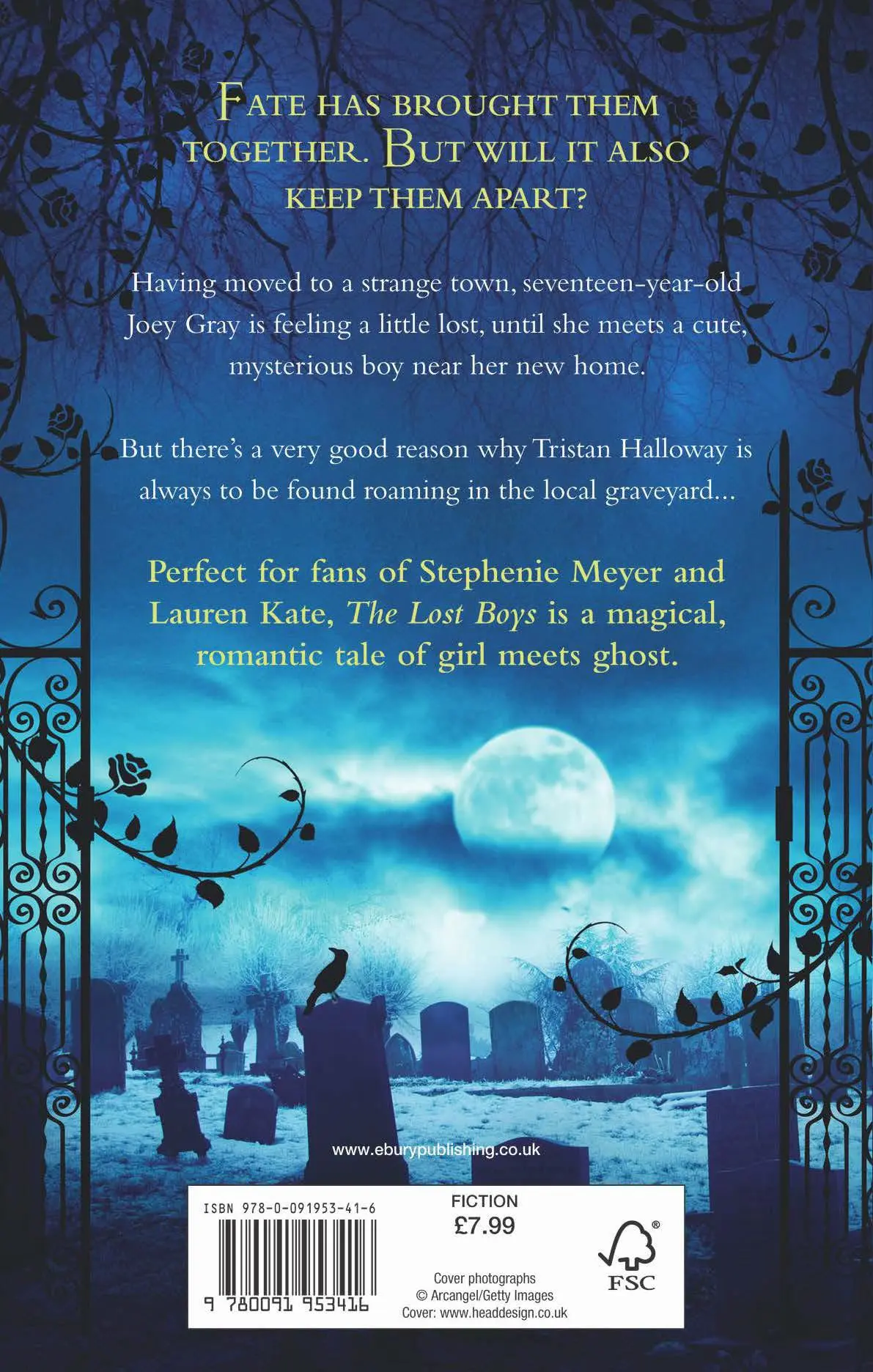 Rückseite: 9780091953416 | The Lost Boys | Lilian Carmine | Taschenbuch | Englisch | 2013