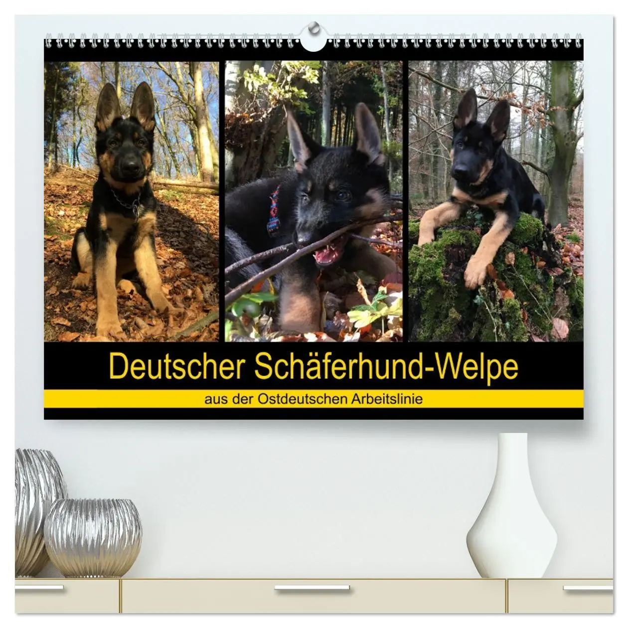 Cover: 9783457743416 | Deutscher Schäferhund-Welpe - aus der Ostdeutschen Arbeitslinie...