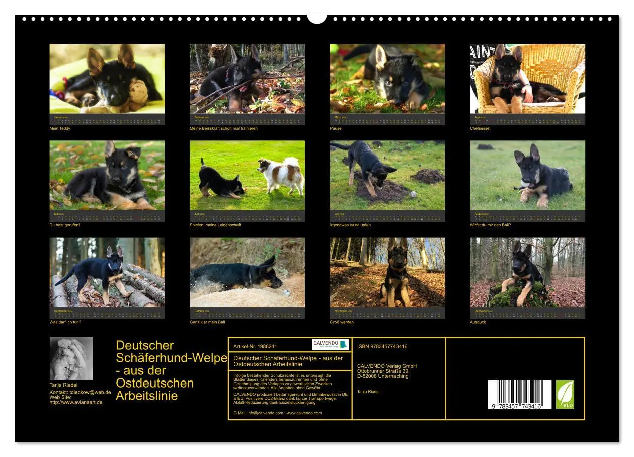Bild: 9783457743416 | Deutscher Schäferhund-Welpe - aus der Ostdeutschen Arbeitslinie...
