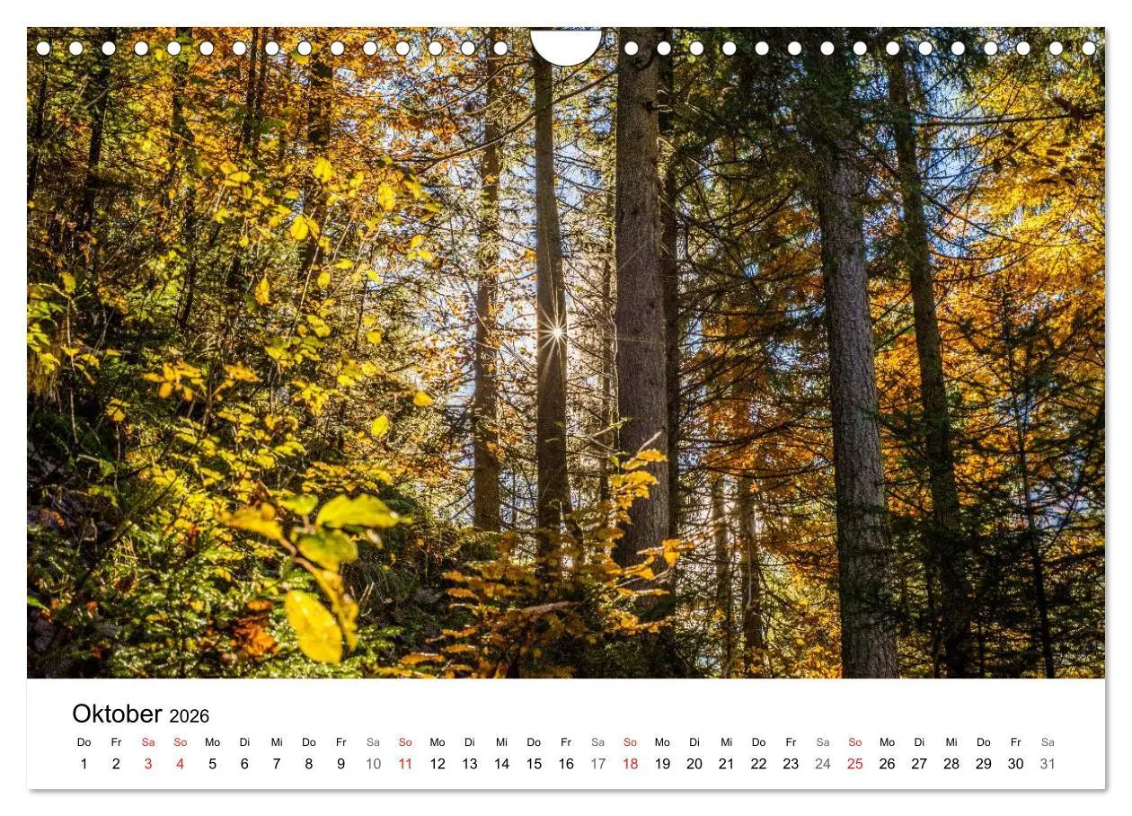 Bild: 9783457983416 | Salzburger Saalachtal - unterwegs im Pinzgau (Wandkalender 2026 DIN...