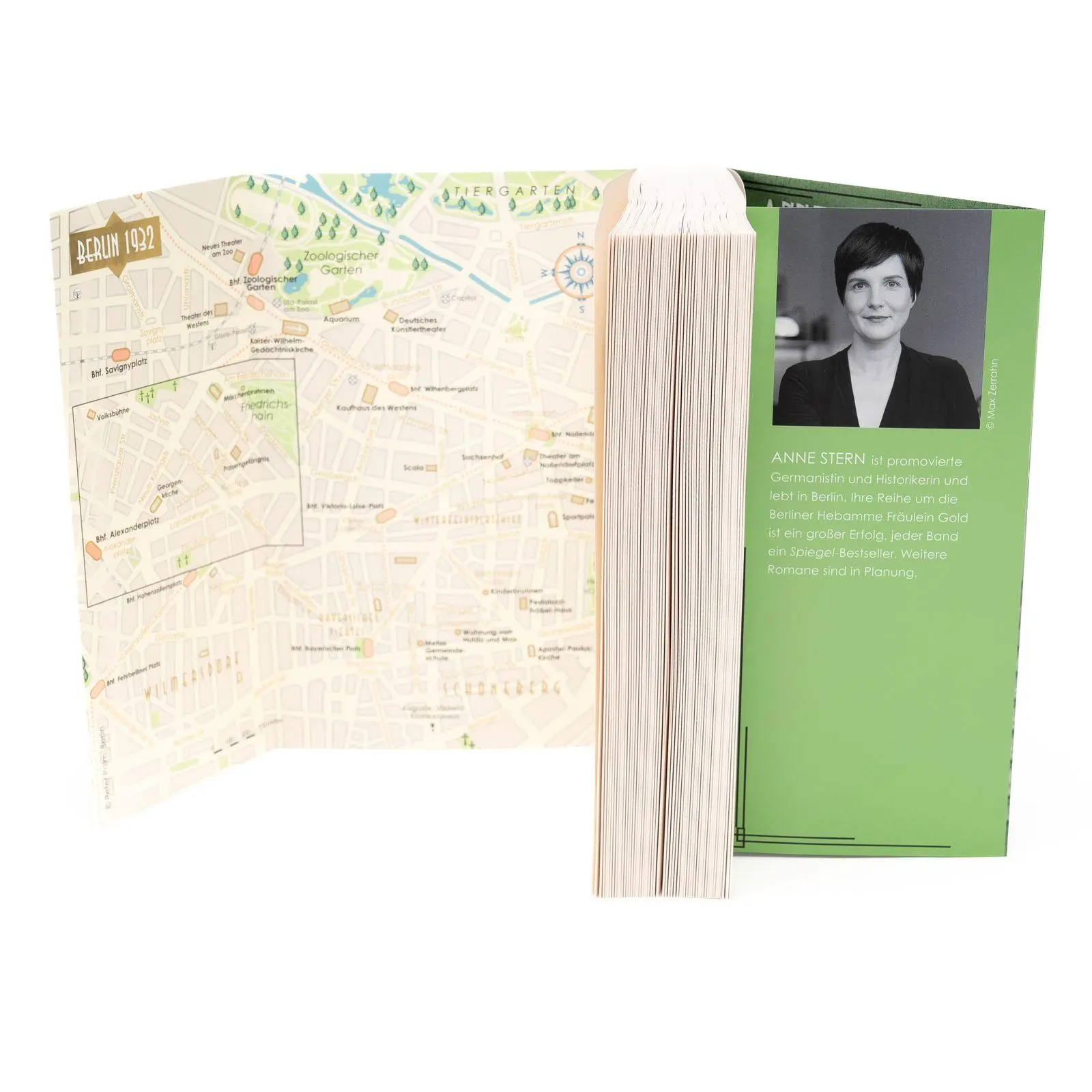 Bild: 9783499013416 | Fräulein Gold: Der Preis der Freiheit | Anne Stern | Taschenbuch